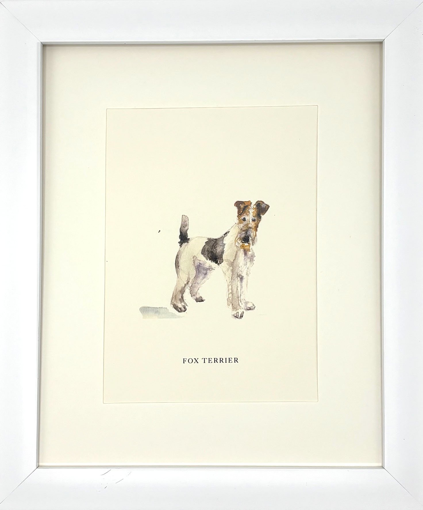 FoxTerrier_WhiteFrame.jpg