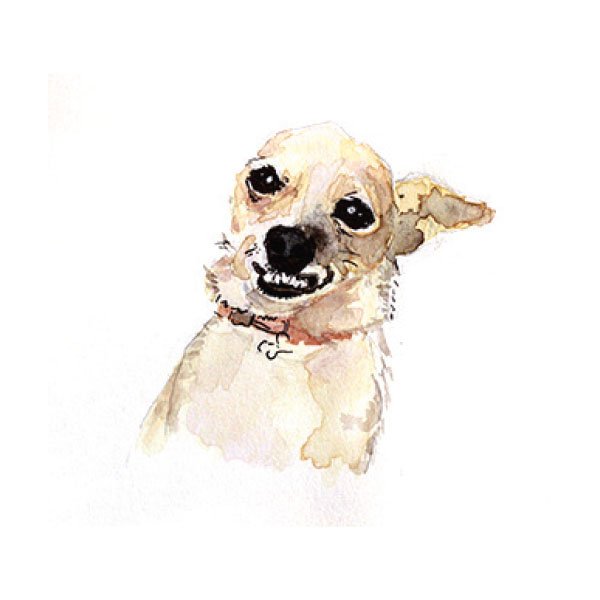 Chihuahua Watercolor Art Print