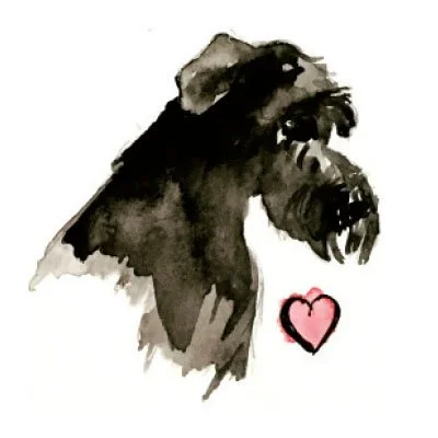 Giant Schnauzer Watercolor Art Print