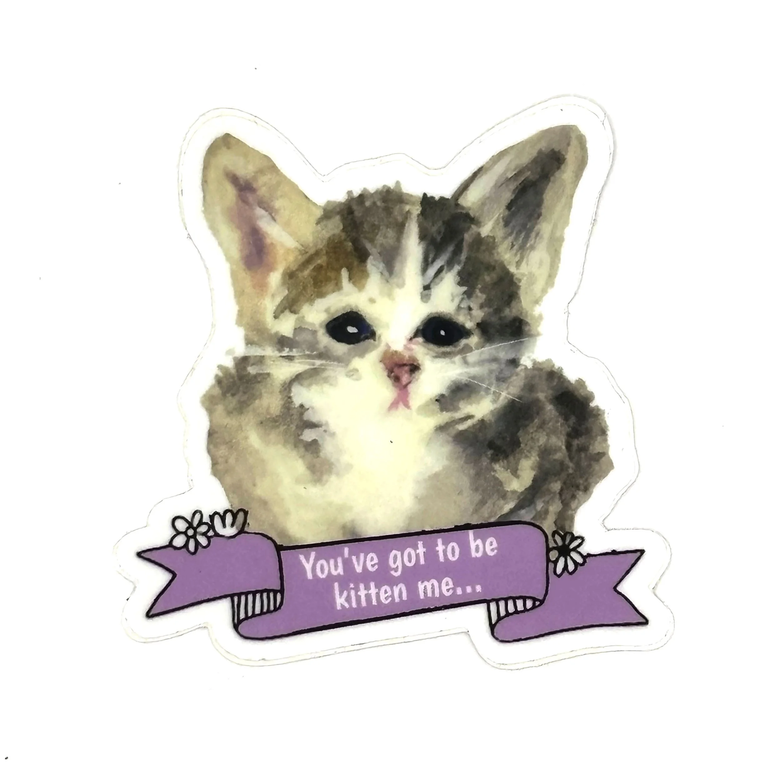 You Gotta Be Kitten Me Sticker