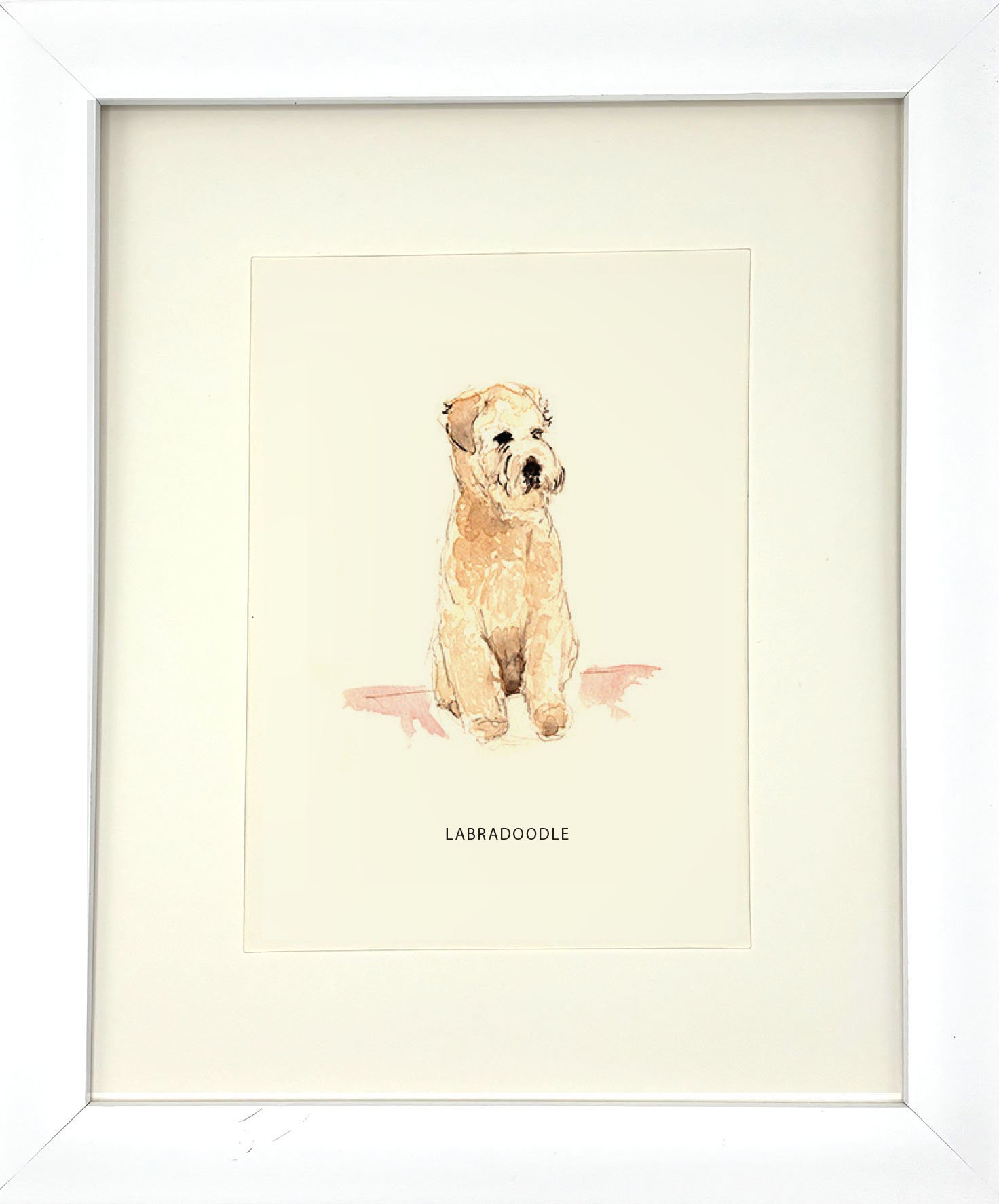 Labradoodle_WhiteFrame.jpg