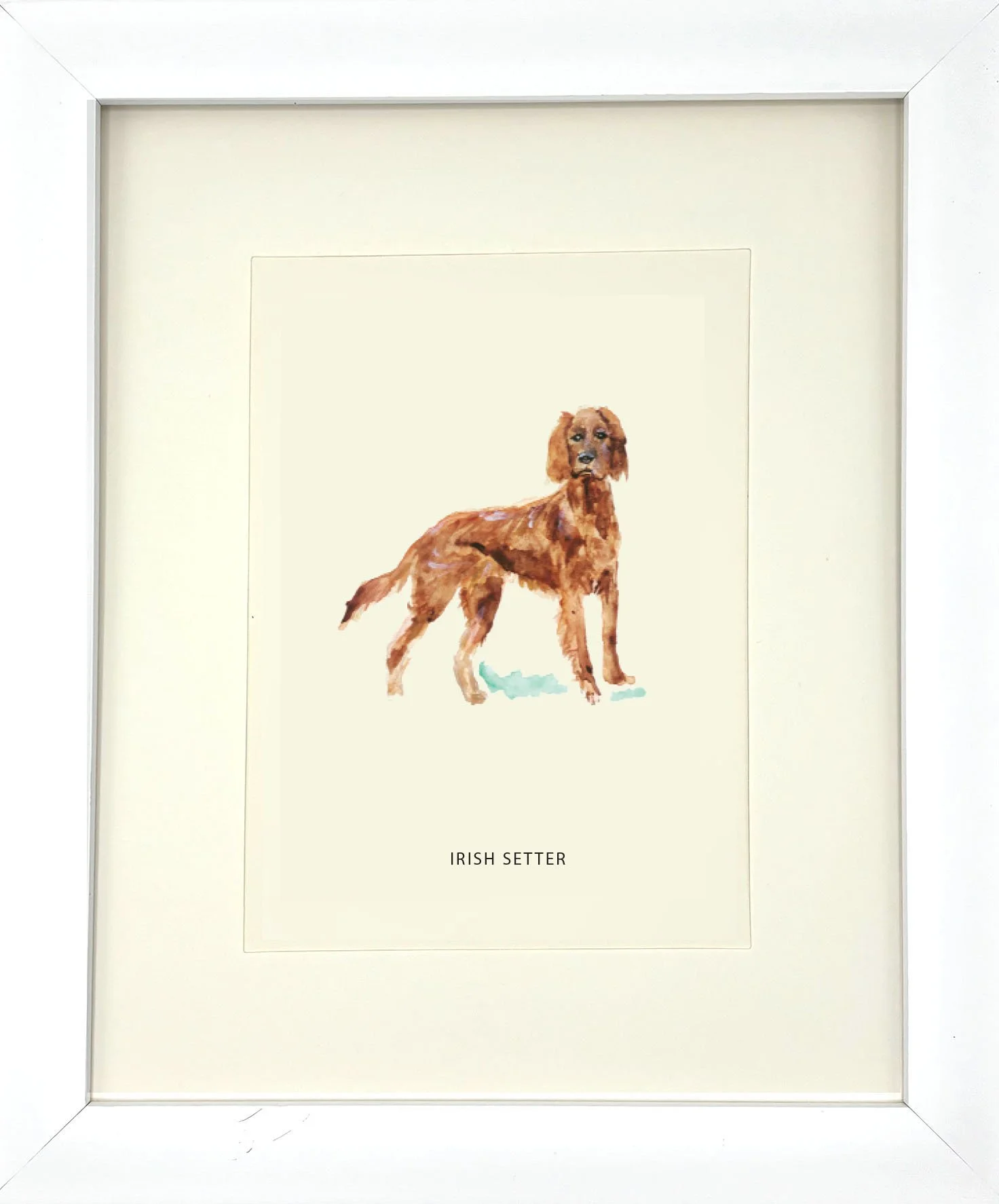 IrishSetter_WhiteFrame.jpg
