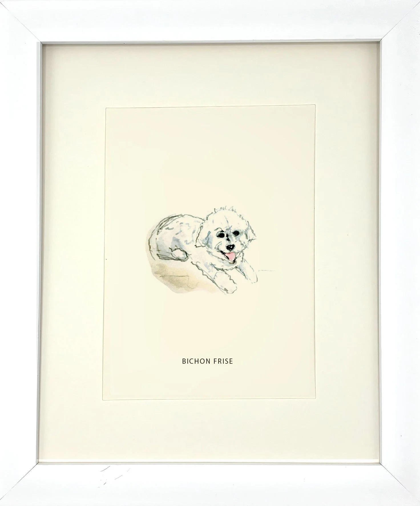 BichonFrise_WhiteFrame.jpg