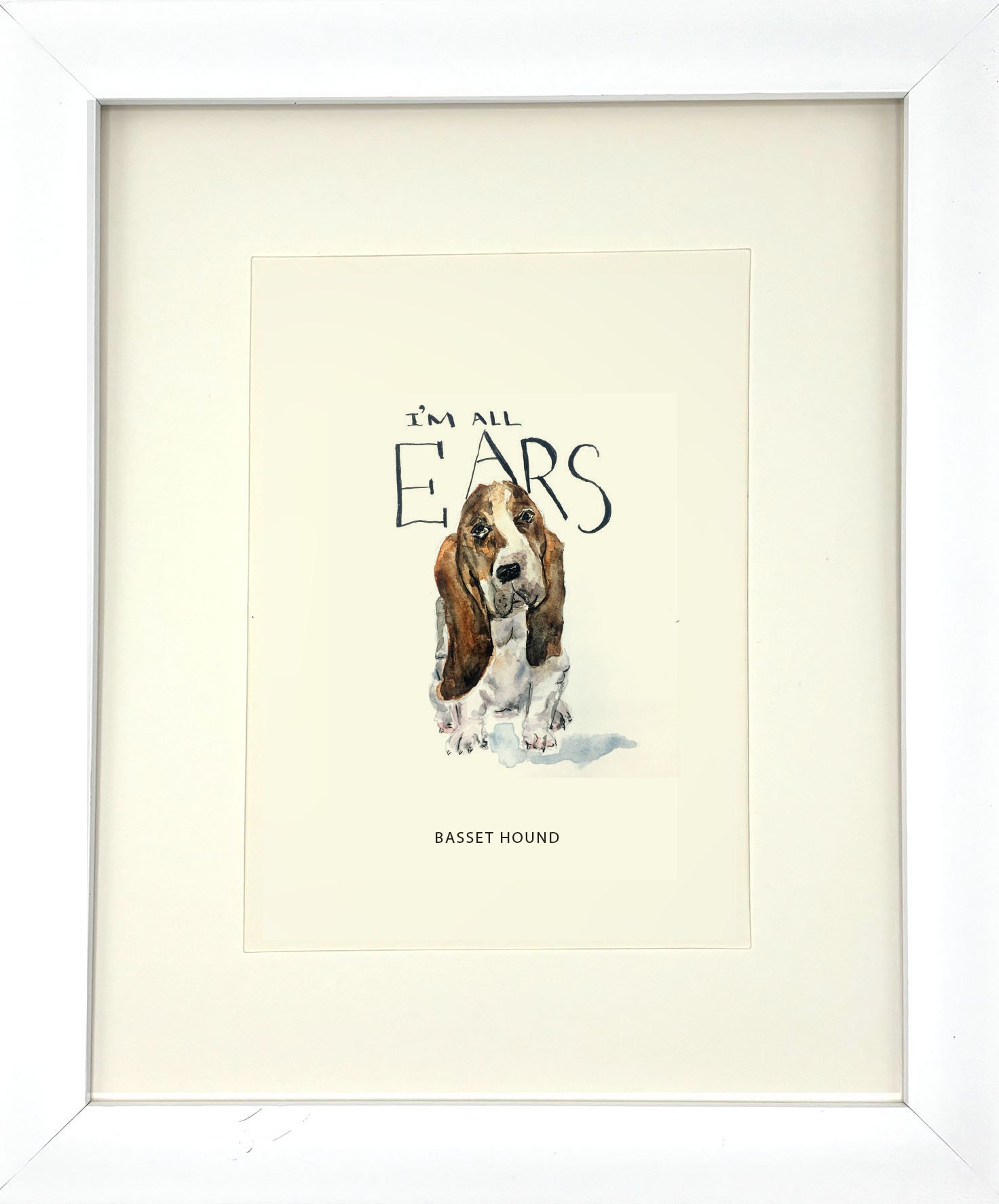 Basset Hound_WhiteFrame.jpg