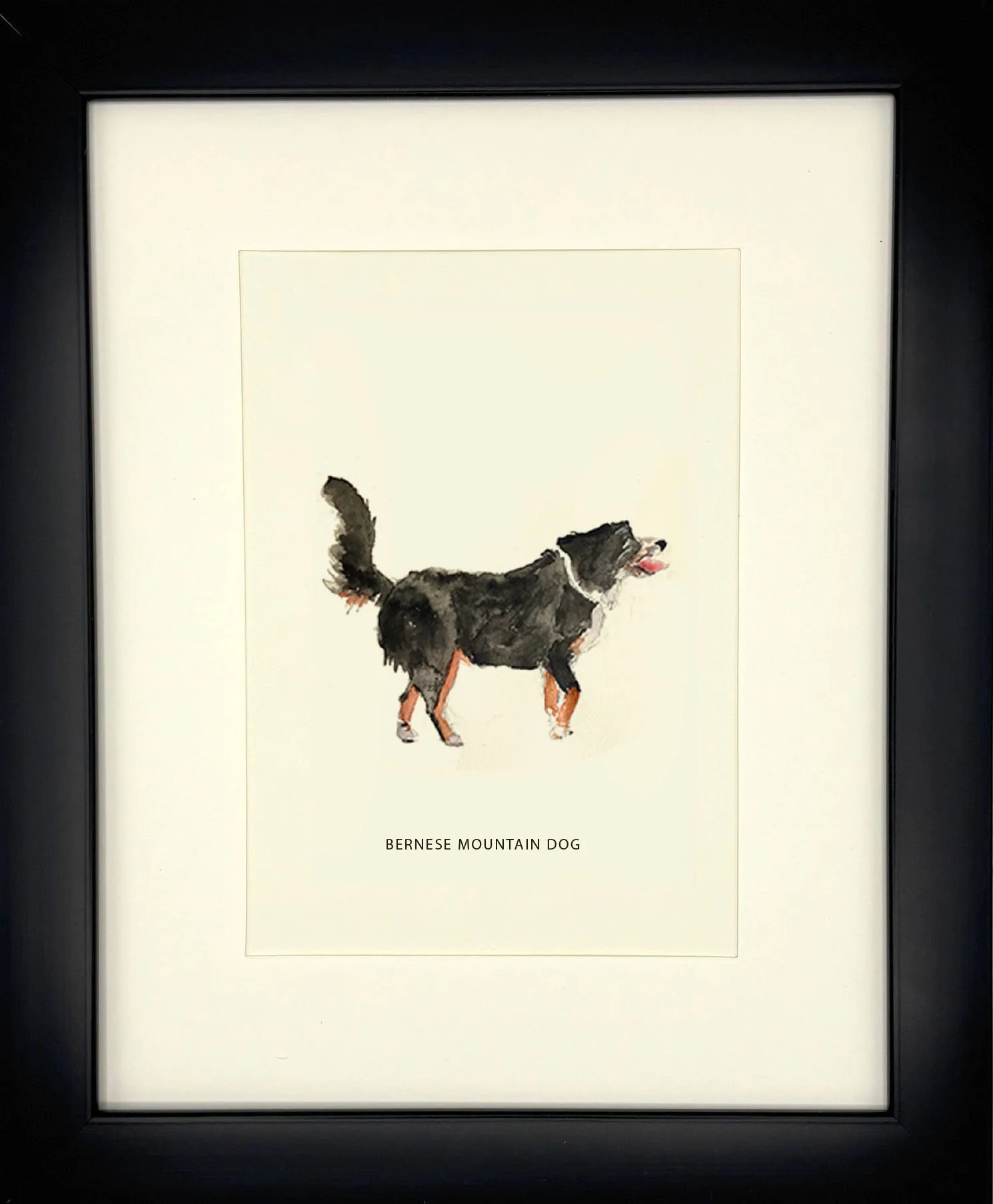 BerneseMountainDog_BlackFrame.jpg