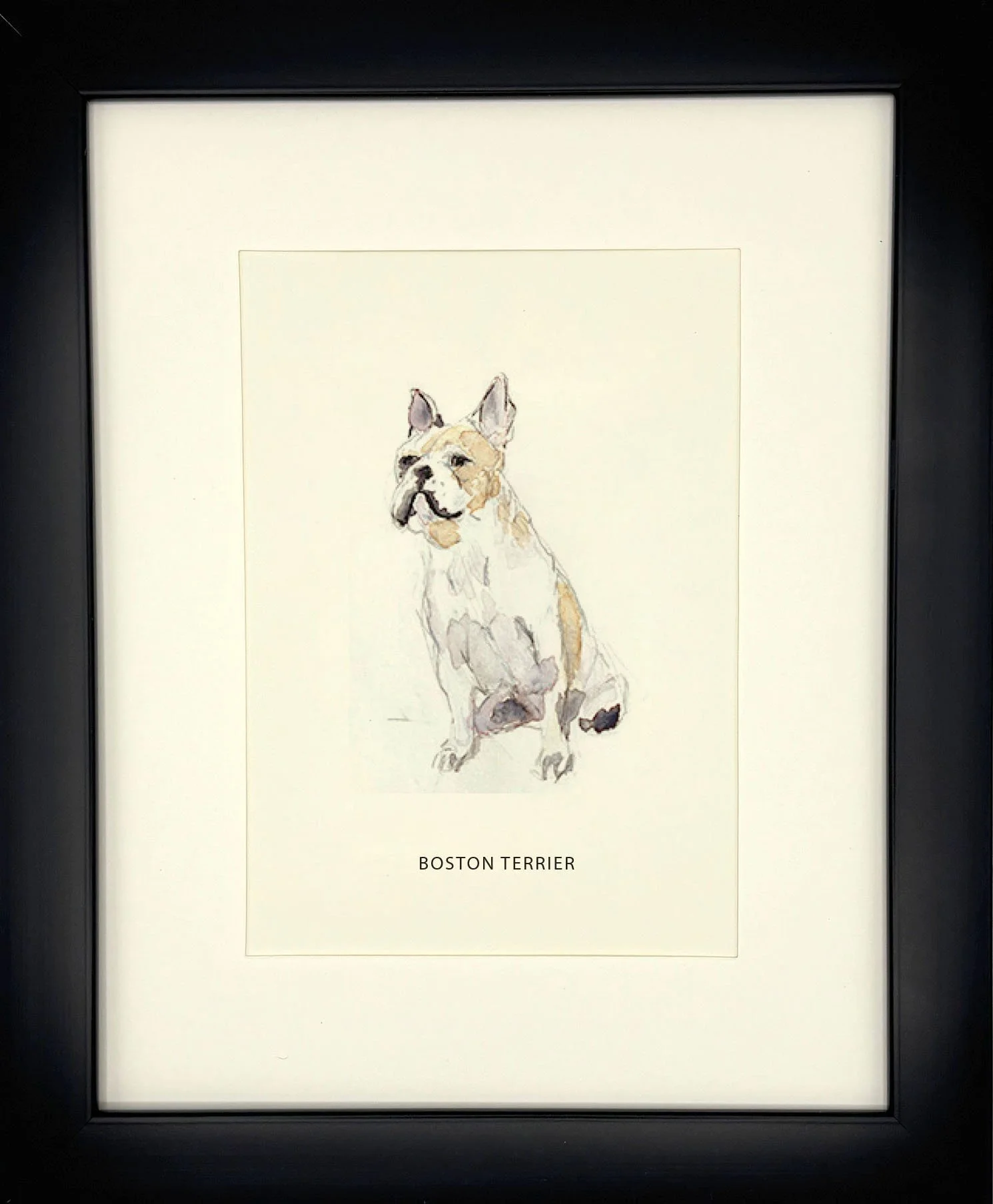 BostonTerrier_BlackFrame.jpg