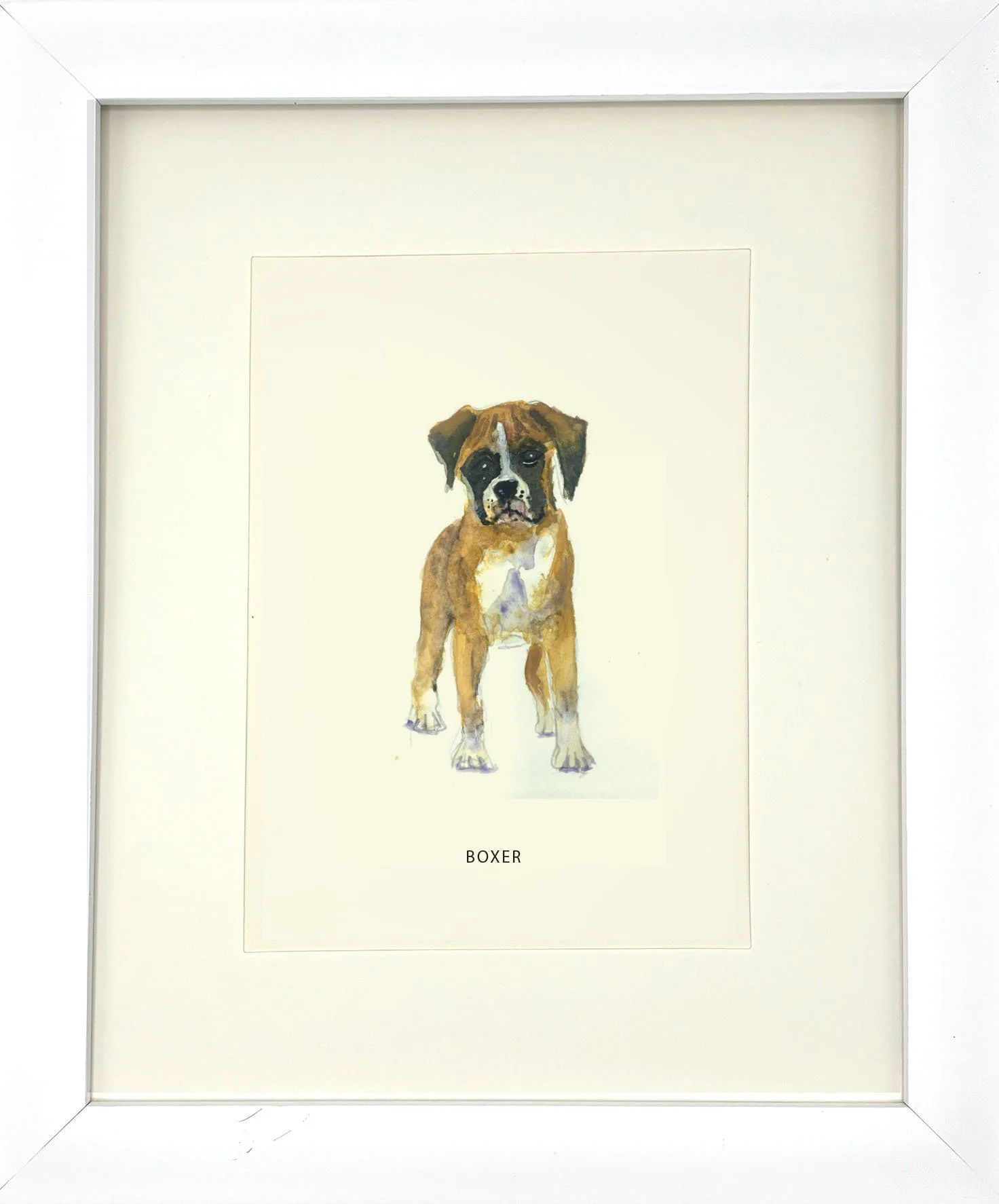 Boxer_WhiteFrame.jpg