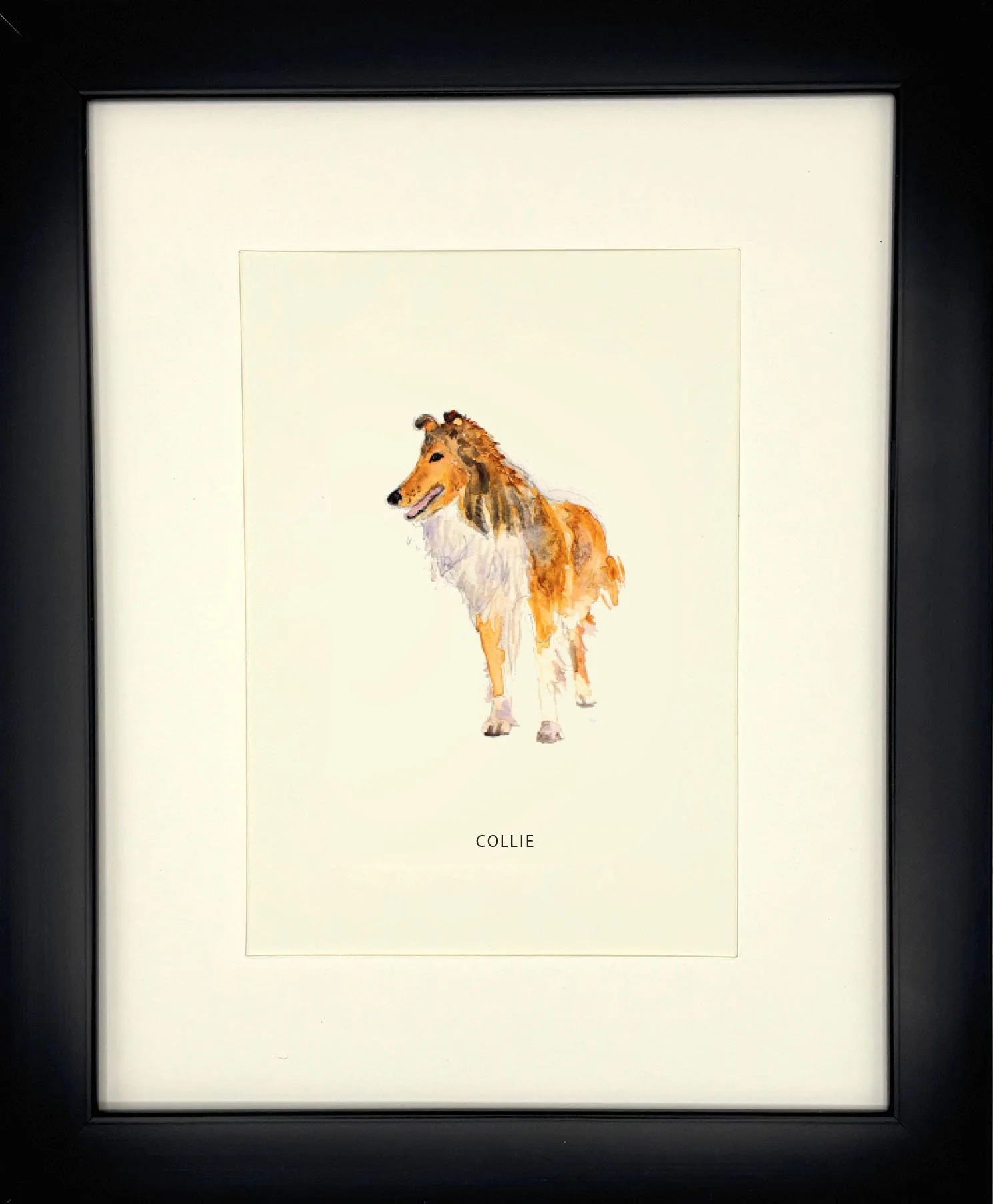 Collie_BlackFrame.jpg