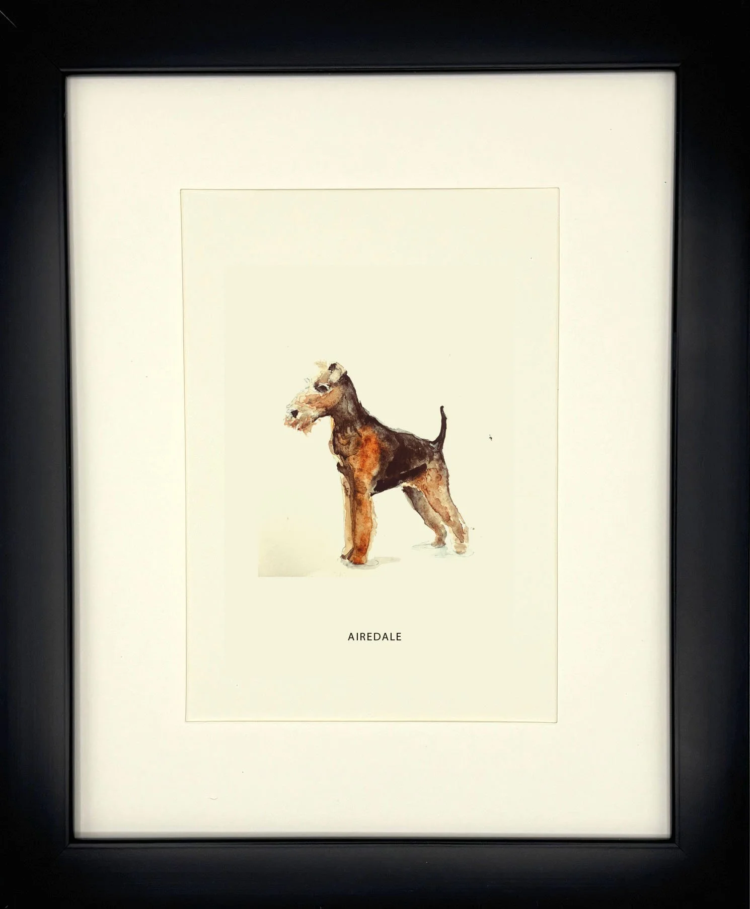 Airedale_BlackFrame.jpg