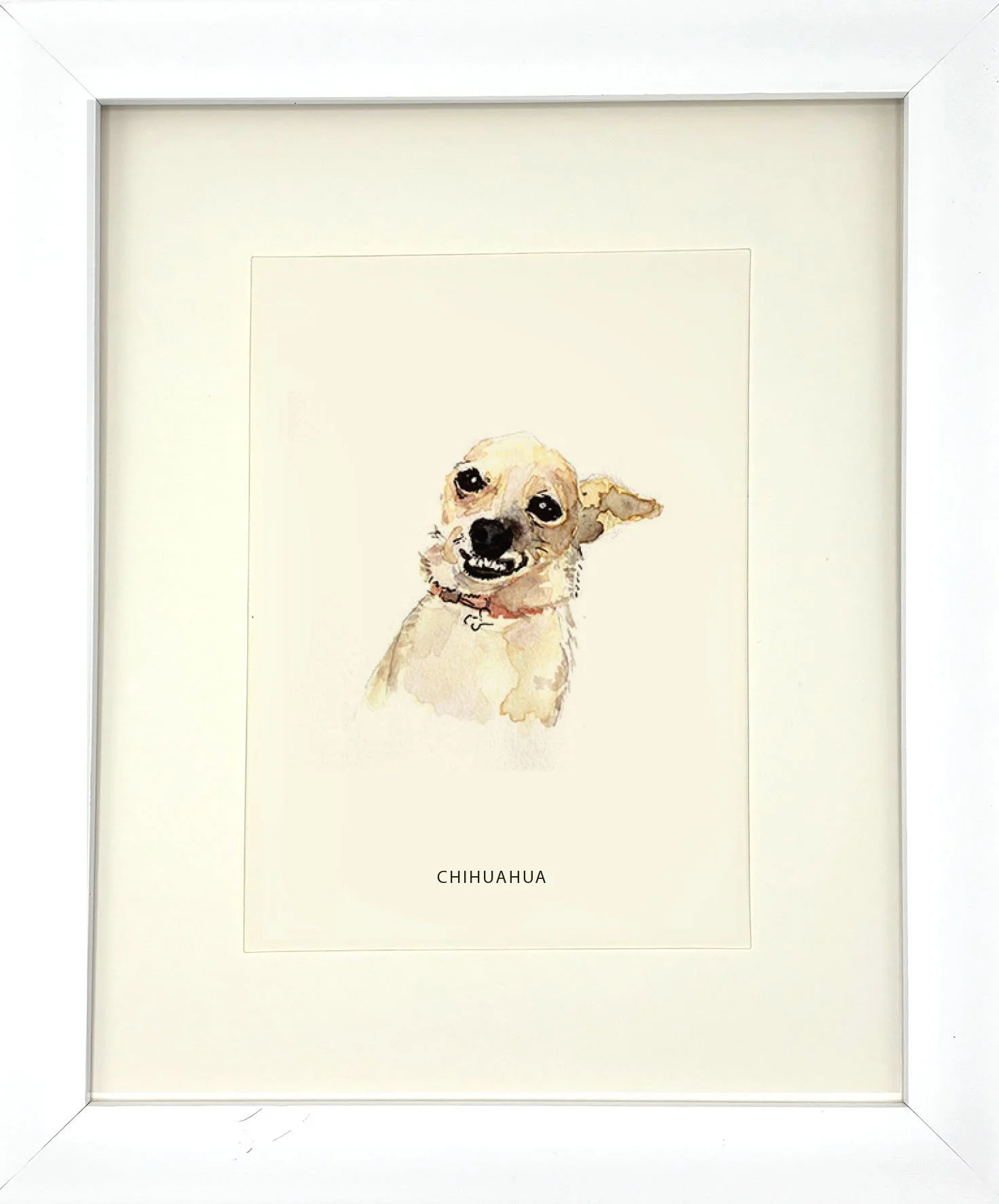 Chihuahua_WhiteFrame.jpg
