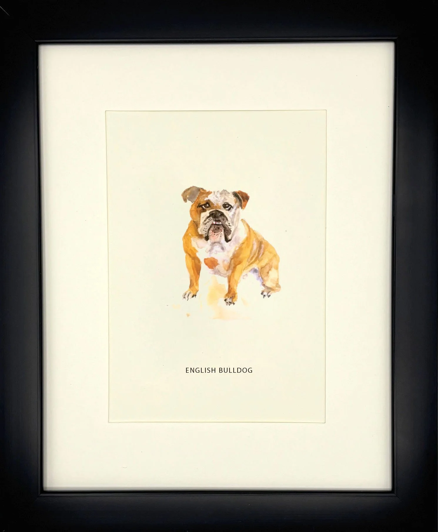 EnglishBulldog_BlackFrame.jpg