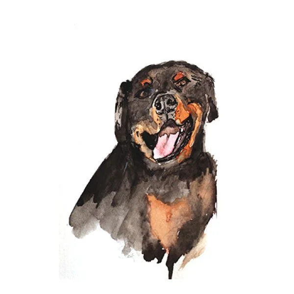 Rottweiler Watercolor Art Print