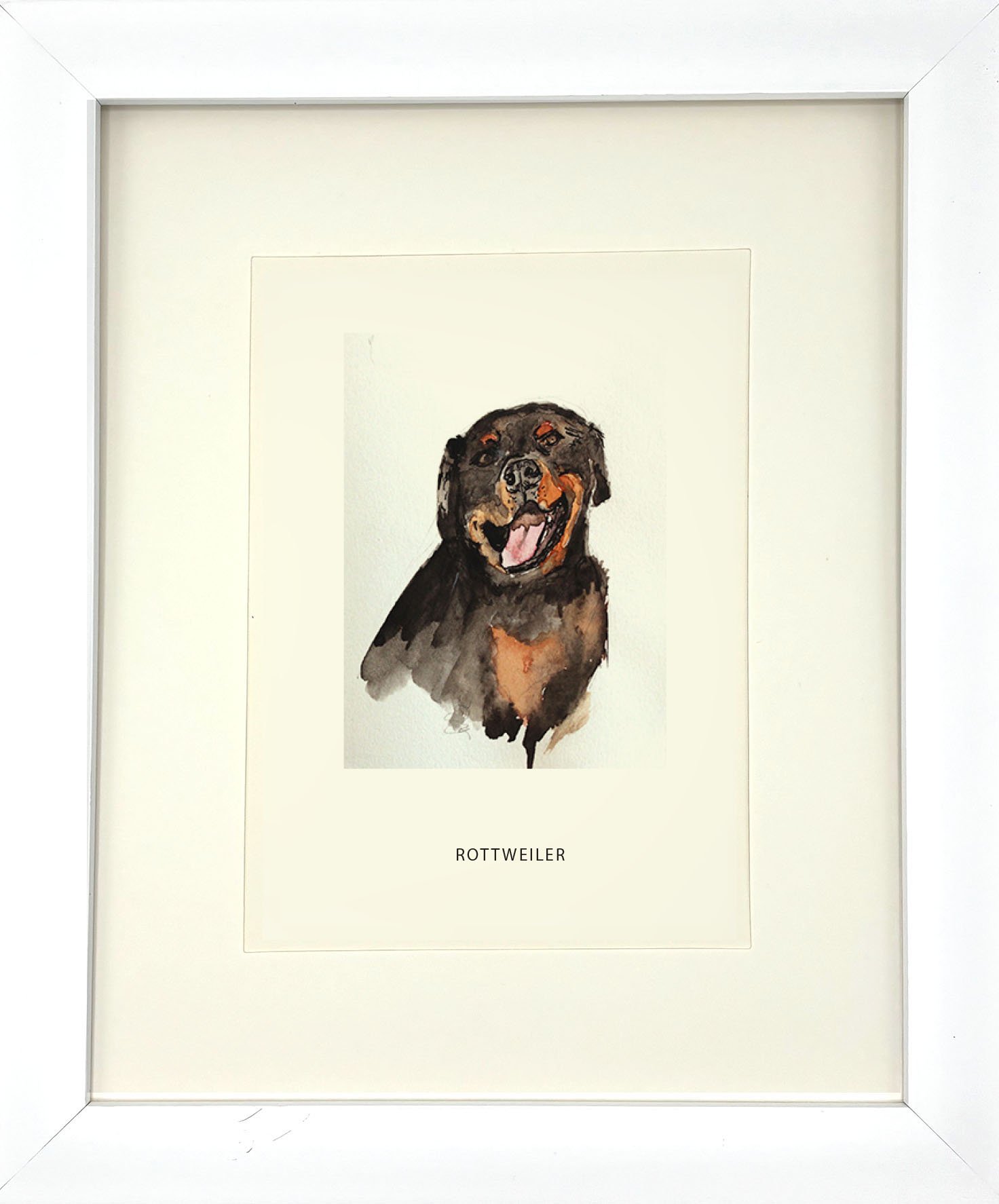 Rottweiler_WhiteFrame.jpg
