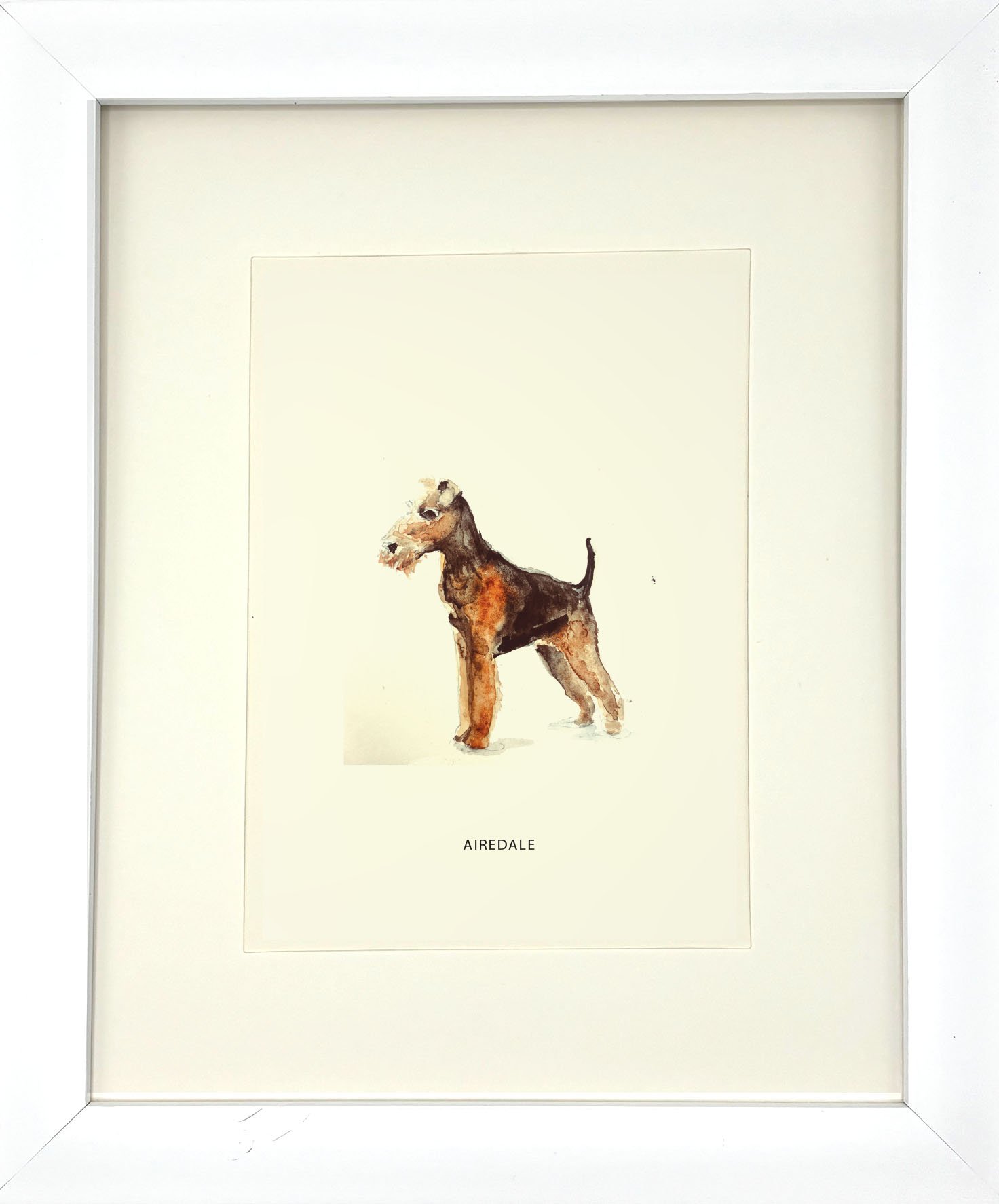 Airedale_WhiteFrame.jpg