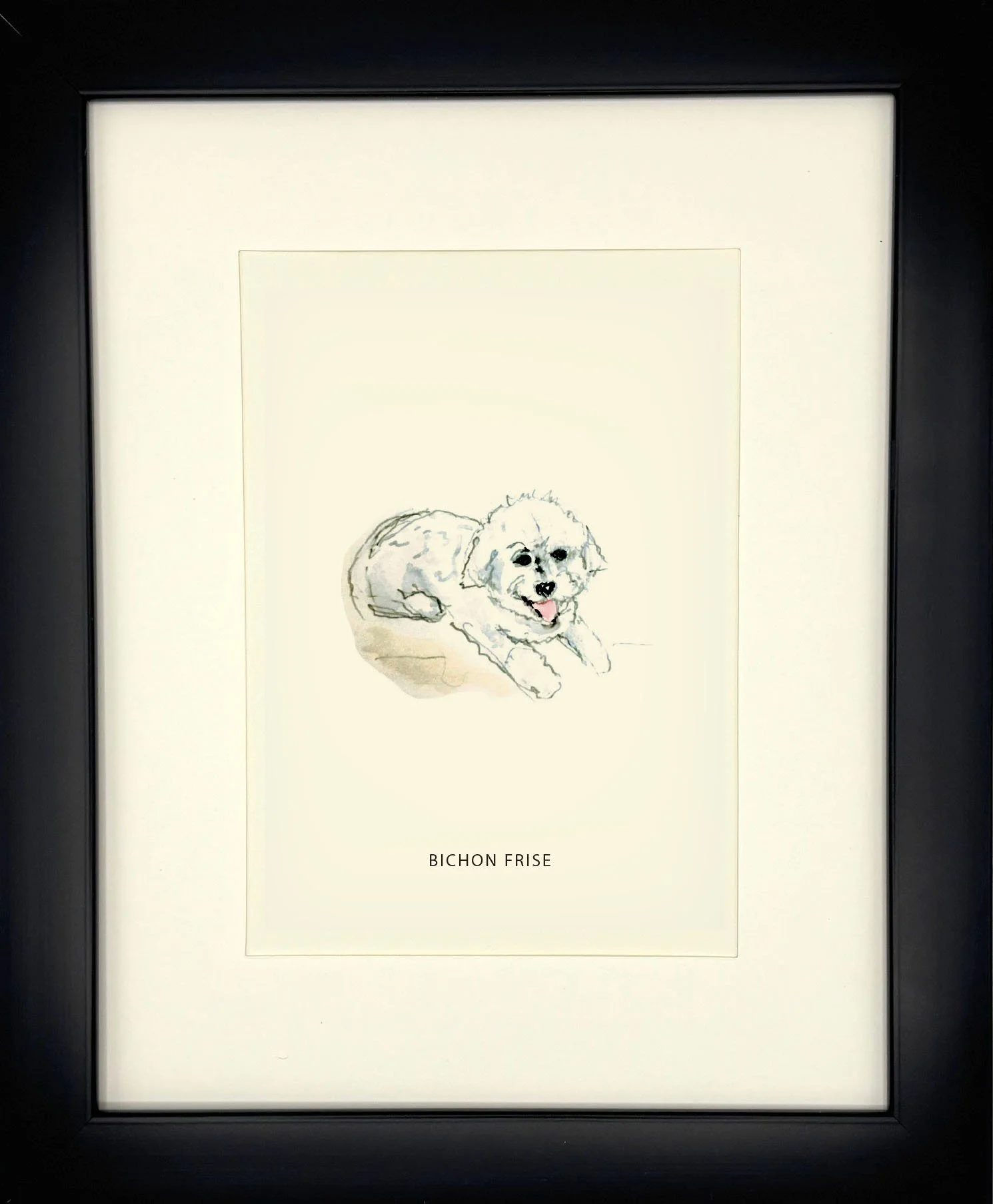 BichonFrise_BlackFrame.jpg