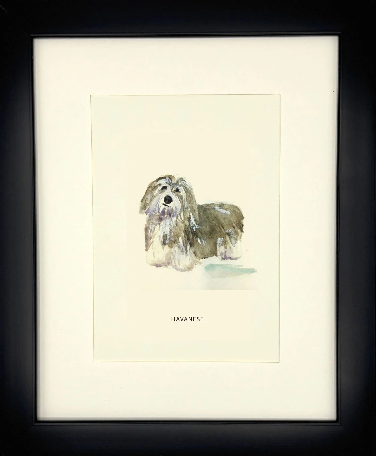 Havanese_BlackFrame.jpg
