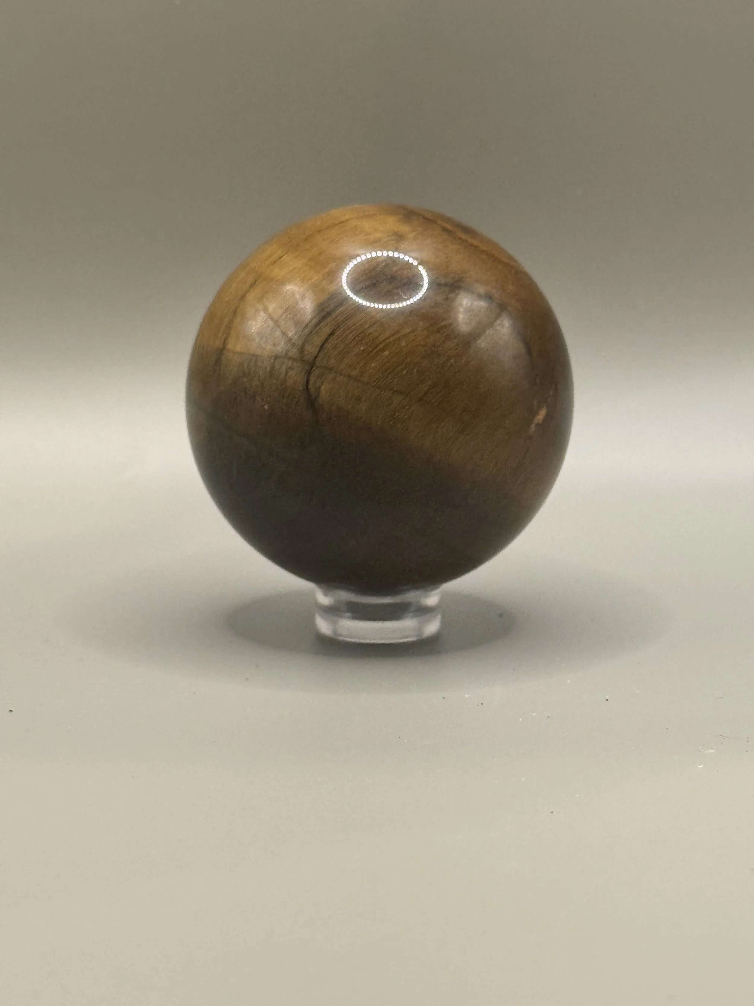 IMG_2952.jpeg
