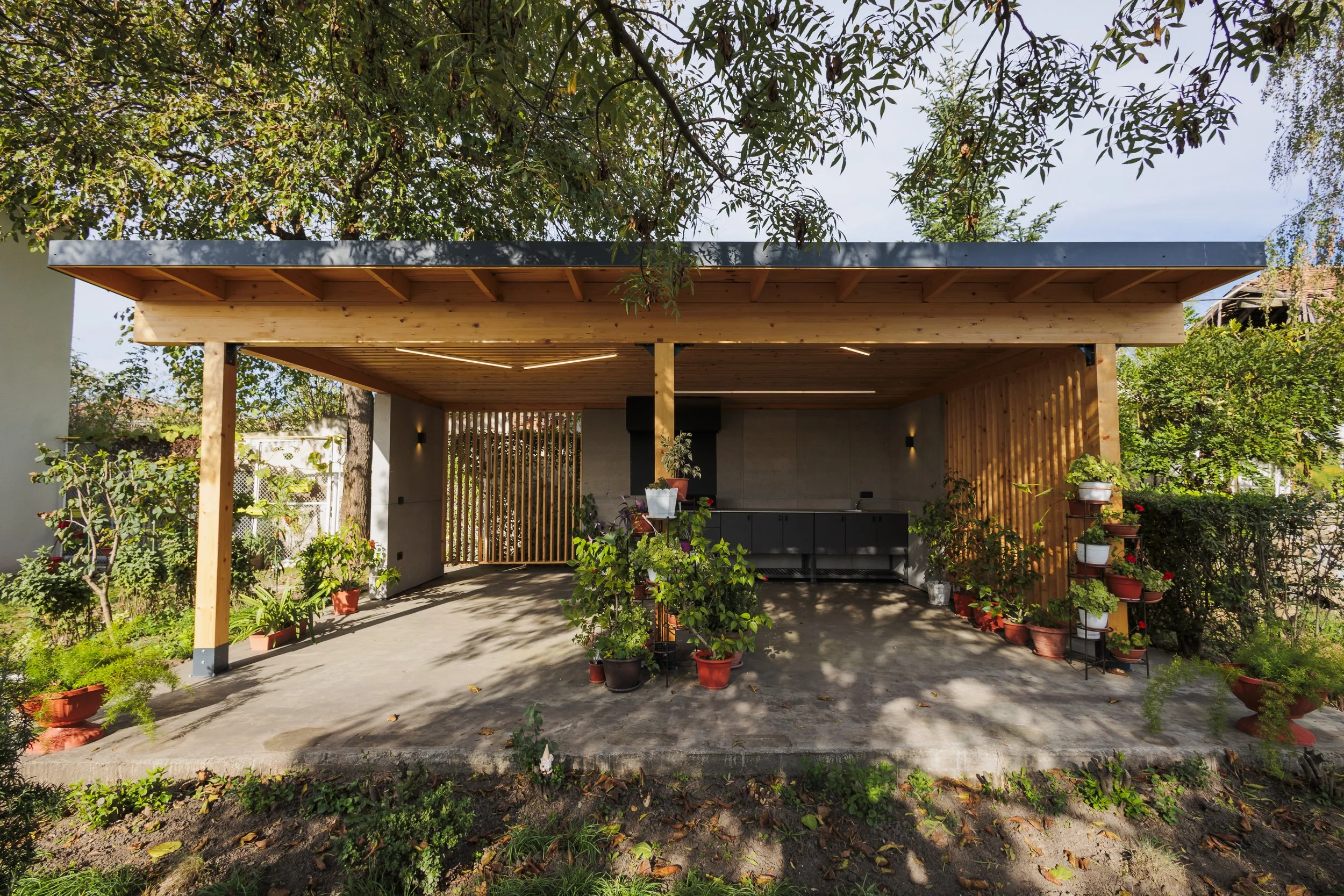 Backyard with a modern structure featuring a black flat roof, completed in wood, with potted plants and trees around, and a garden with various greenery.