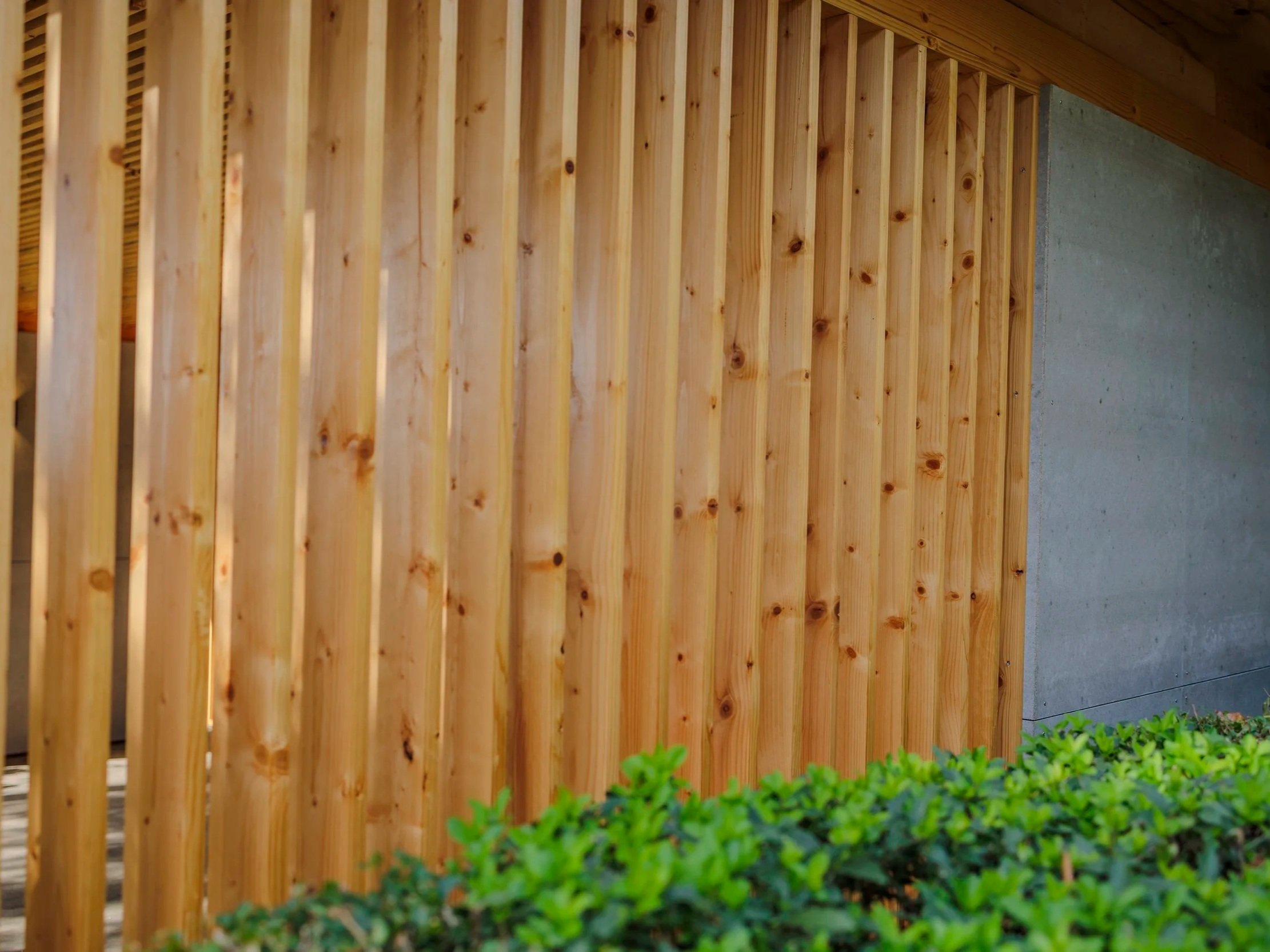 Wooden slat fence with green shrubbery in front and concrete ground beneath.