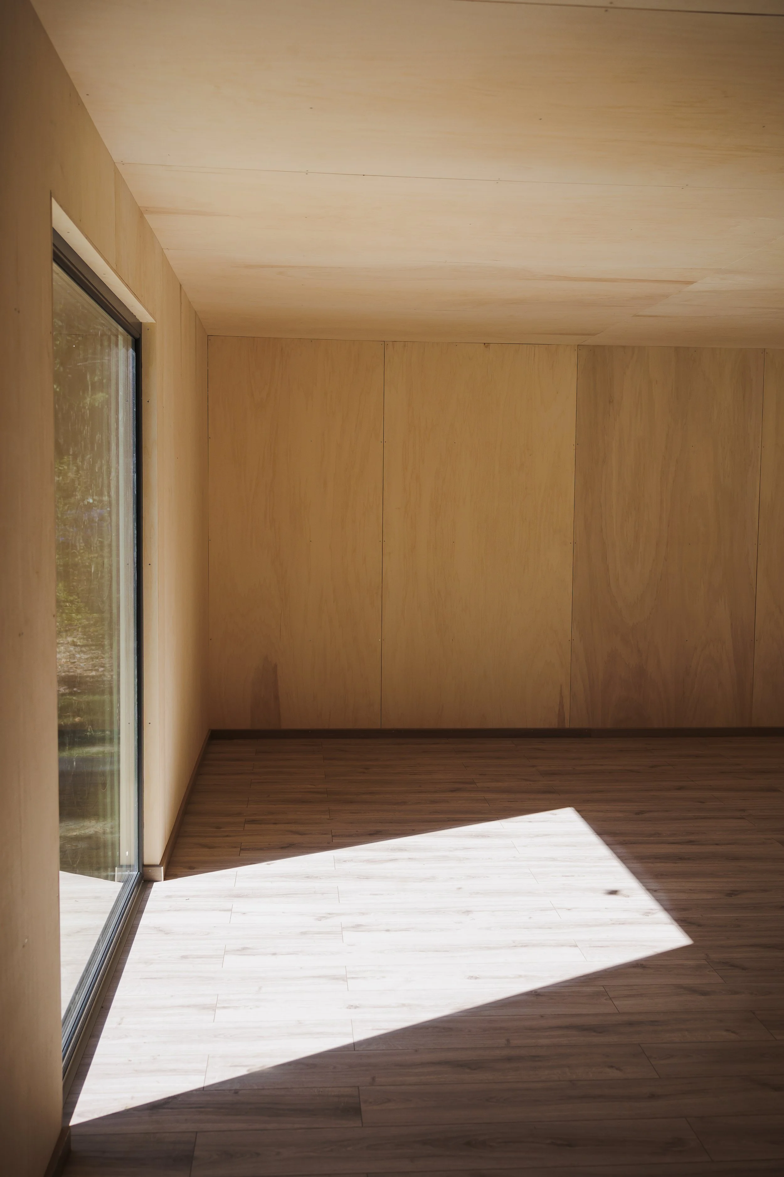 Sunlight streaming into a room with wooden walls and flooring, the corner of a window visible on the left.