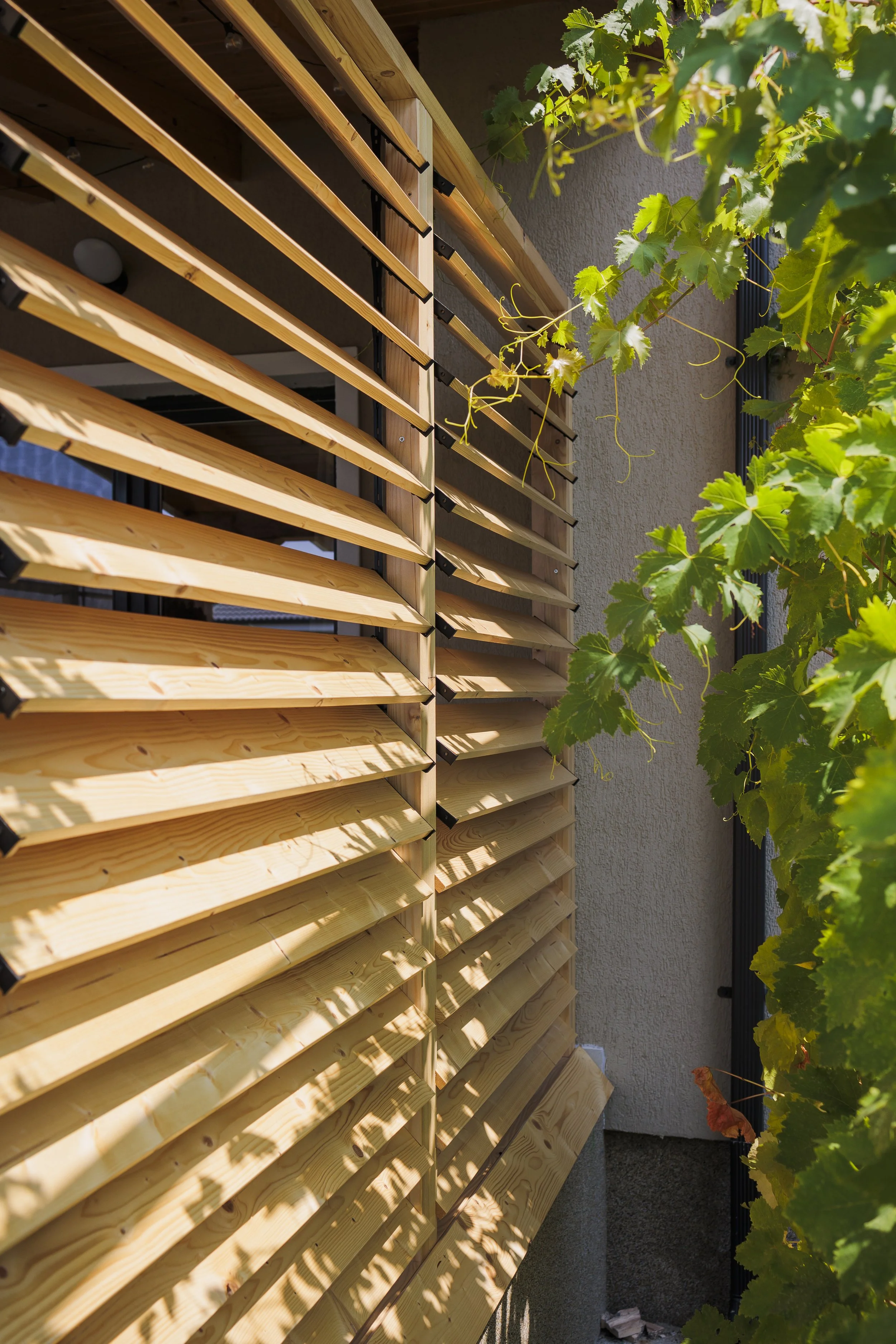 Wooden slats with evenly spaced horizontal gaps are installed on a wall, with green leafy vines growing alongside.