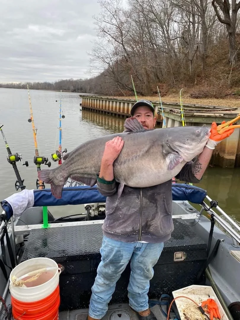 Catfish Facts &amp; Proven Tips for Catching Giant Catfish.