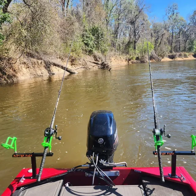 View from a boat on a river with two fishing rods secured at the bow, water, and trees along the riverbank under a clear blue sky.