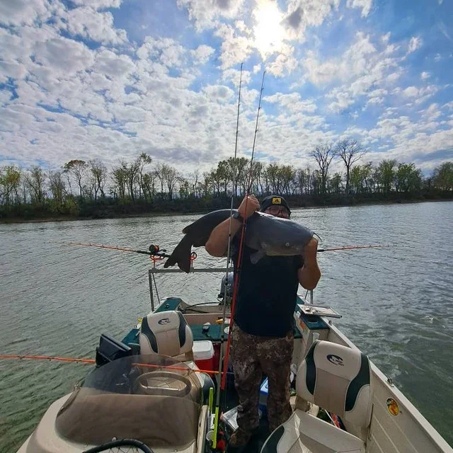 • Custom TIG welded fishing rod rack for catfishing boat setup
• Powder coated V-Bar fishing rod rack holding up to 5 rods
• Heavy-duty T-Bar rod rack with threaded aluminum top
• Made in USA fishing rod holder rack for boats
• Custom spider rigging