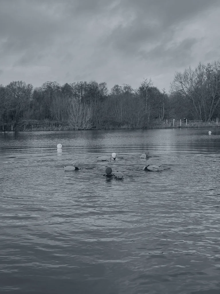 A body of water with eight buoys floating on the surface, and trees with bare branches along the shoreline under a cloudy sky.