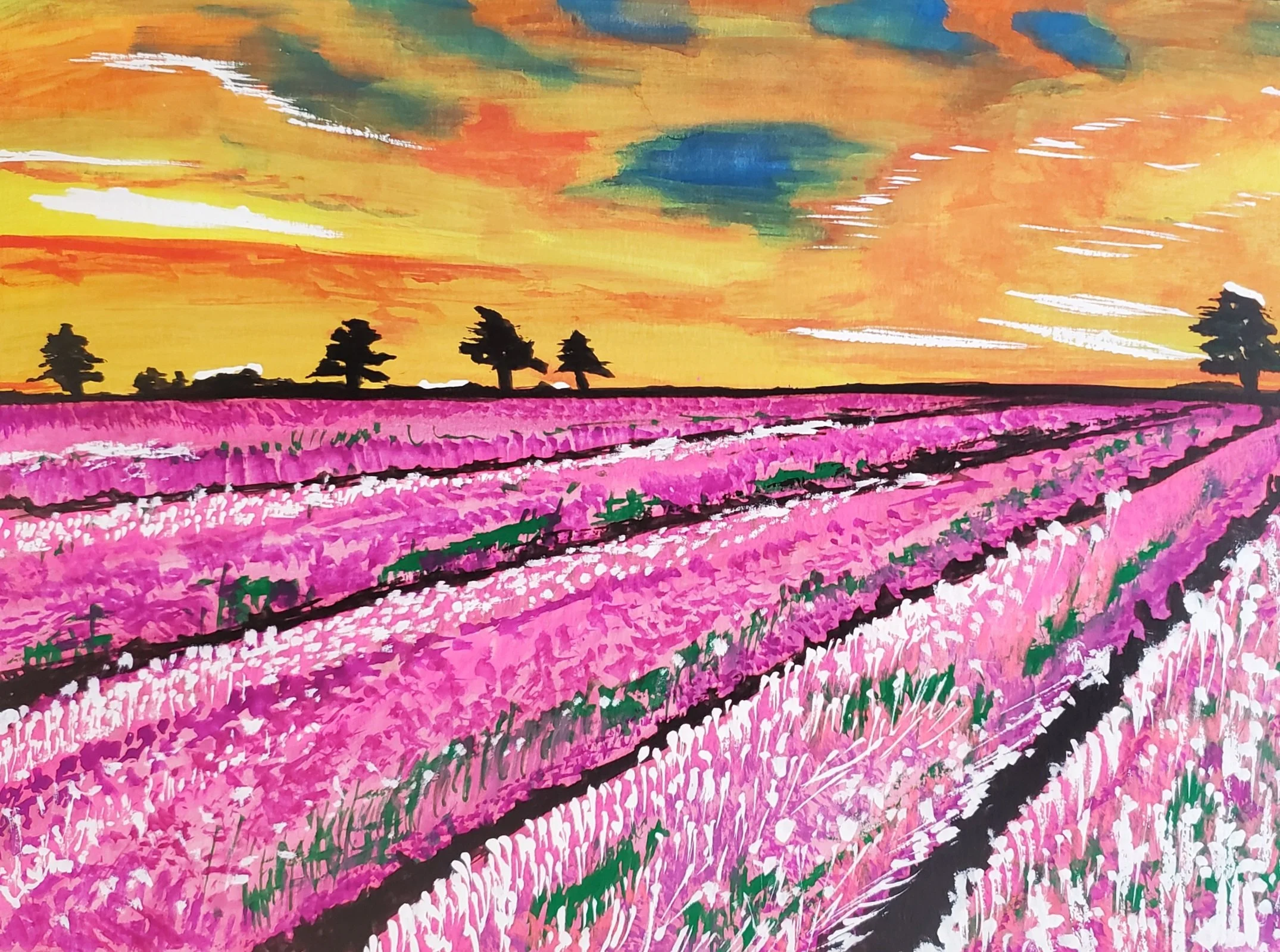Lavender Fields