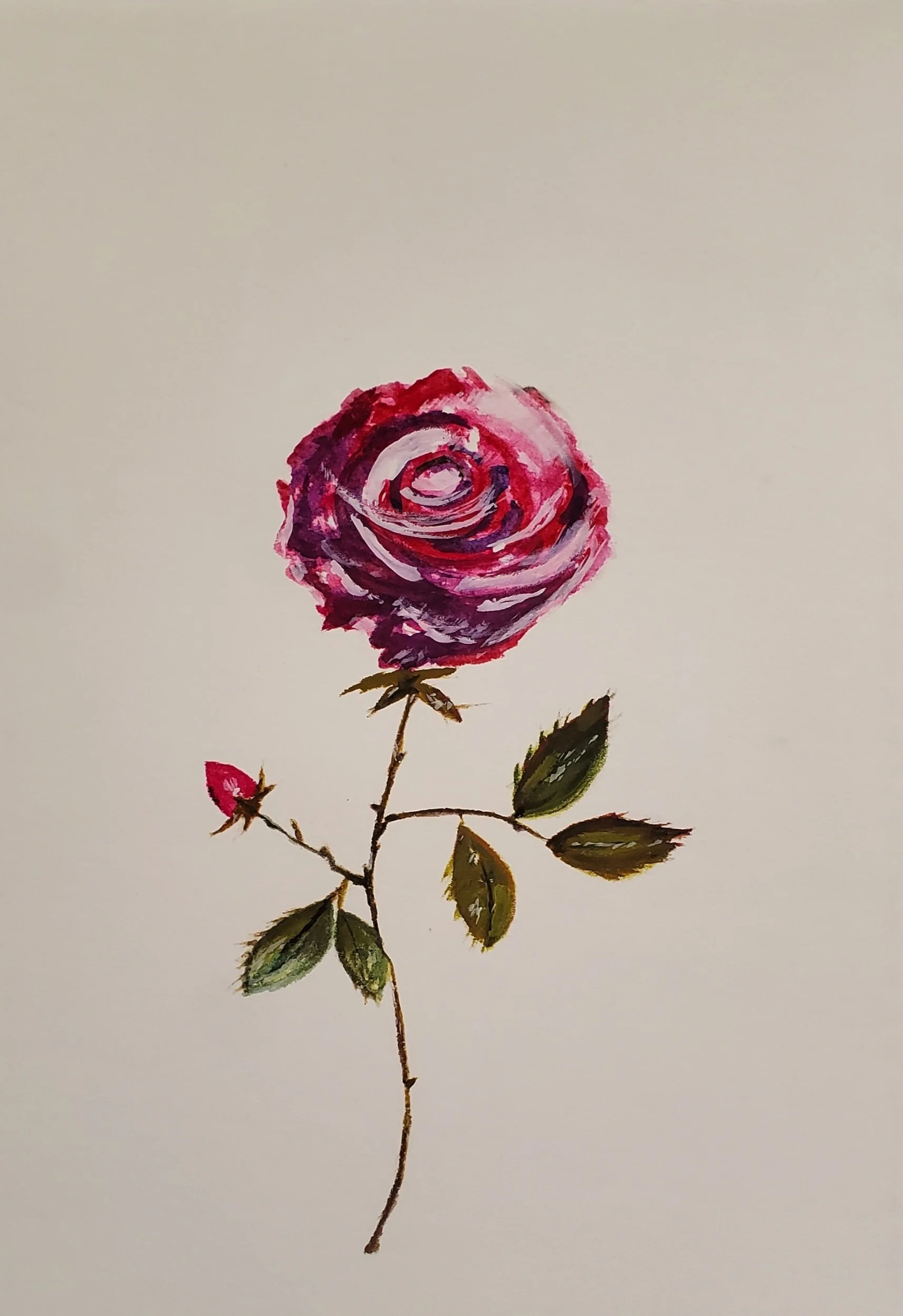 Rose