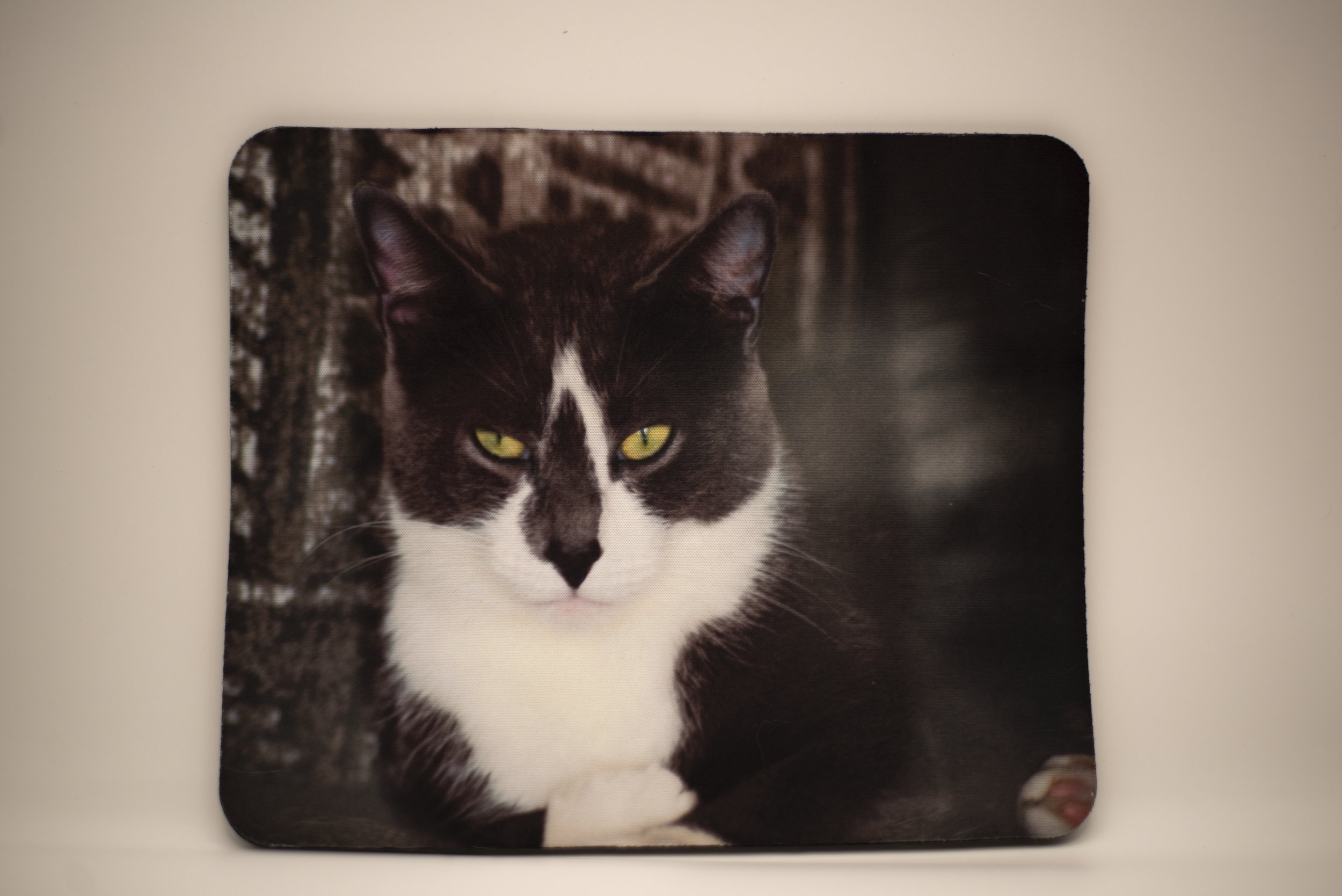 Cat mouse pad.jpg