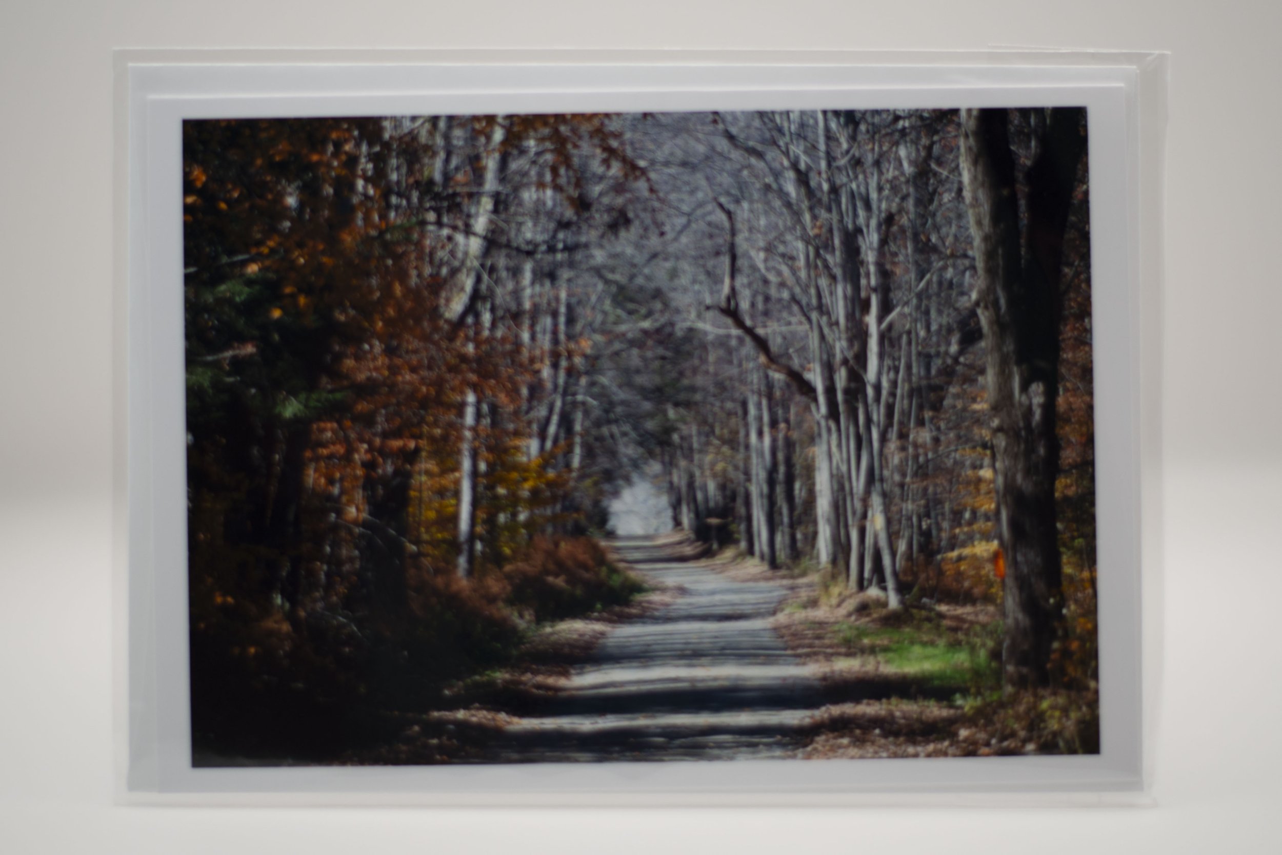 Remnants of Fall Notecard