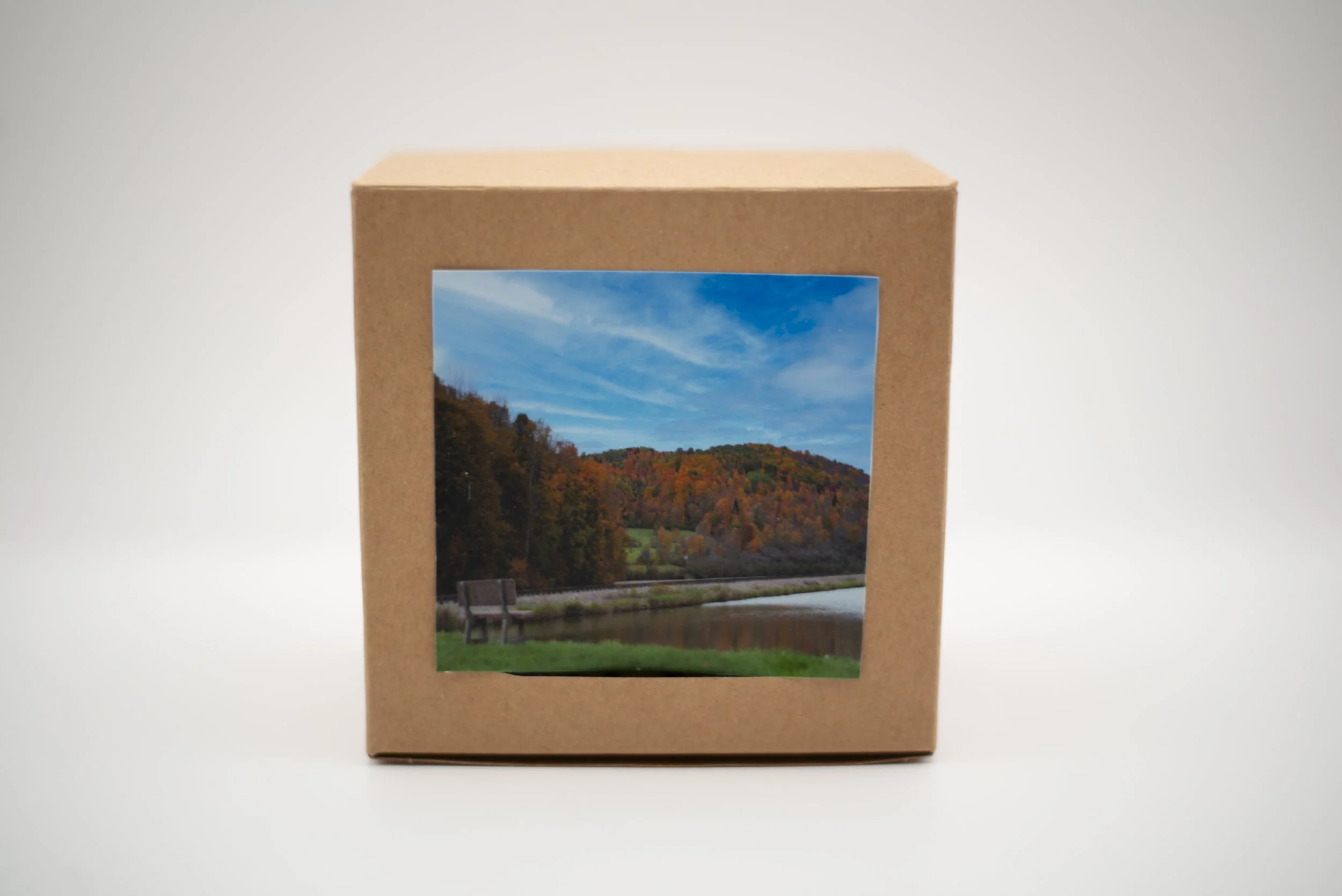 andover pond puzzle.jpg