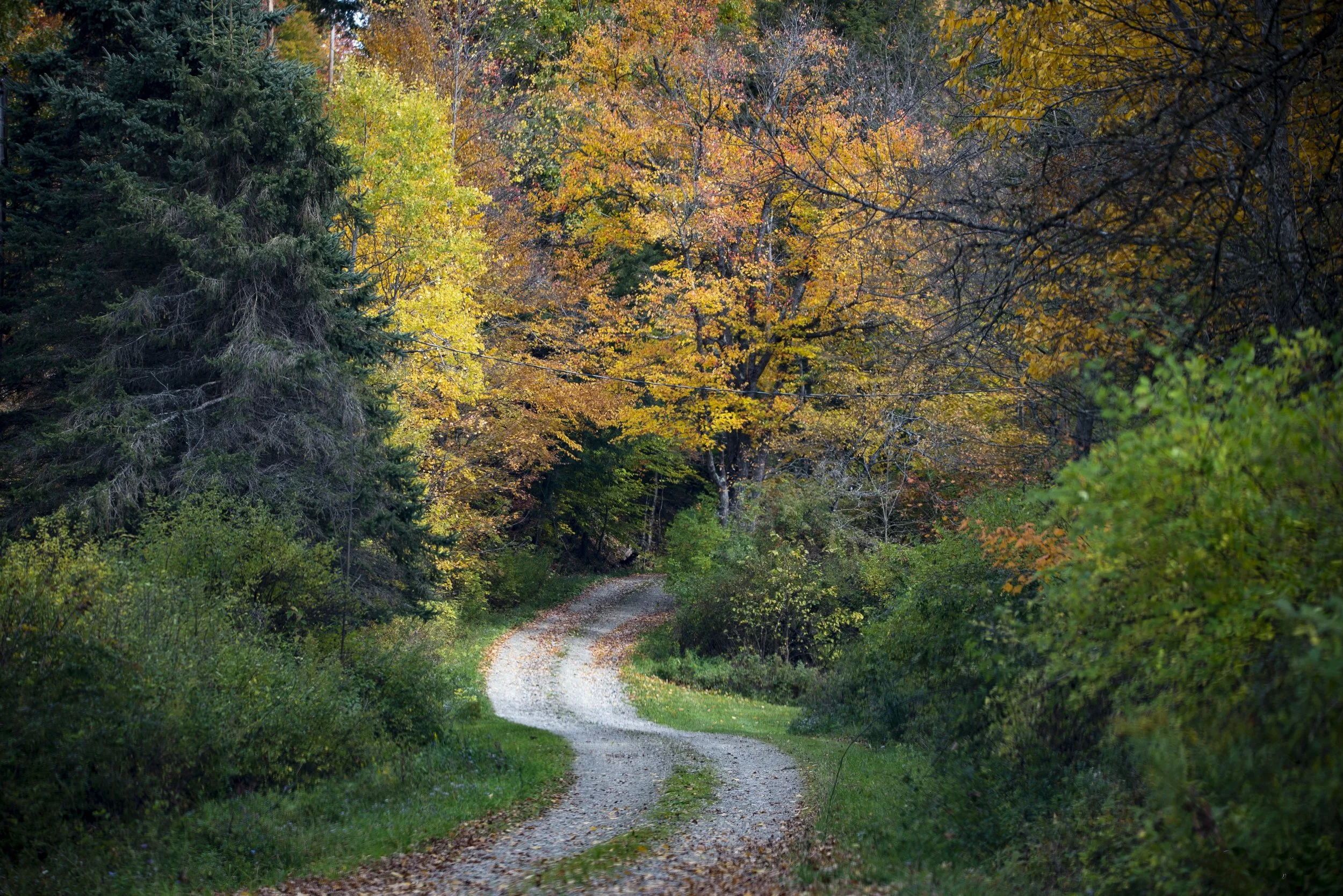 Road into the Unknown