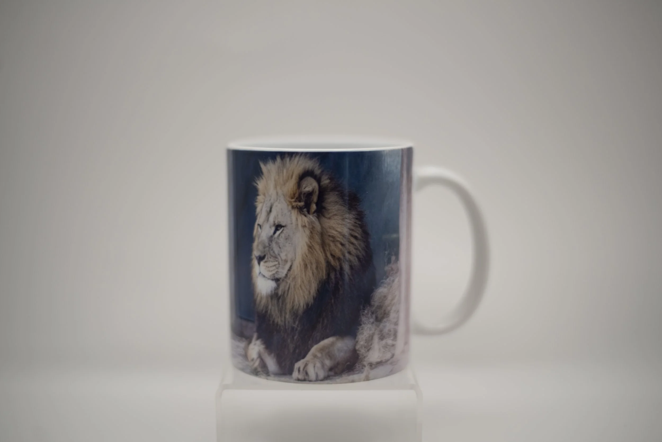 lion mug back.jpg