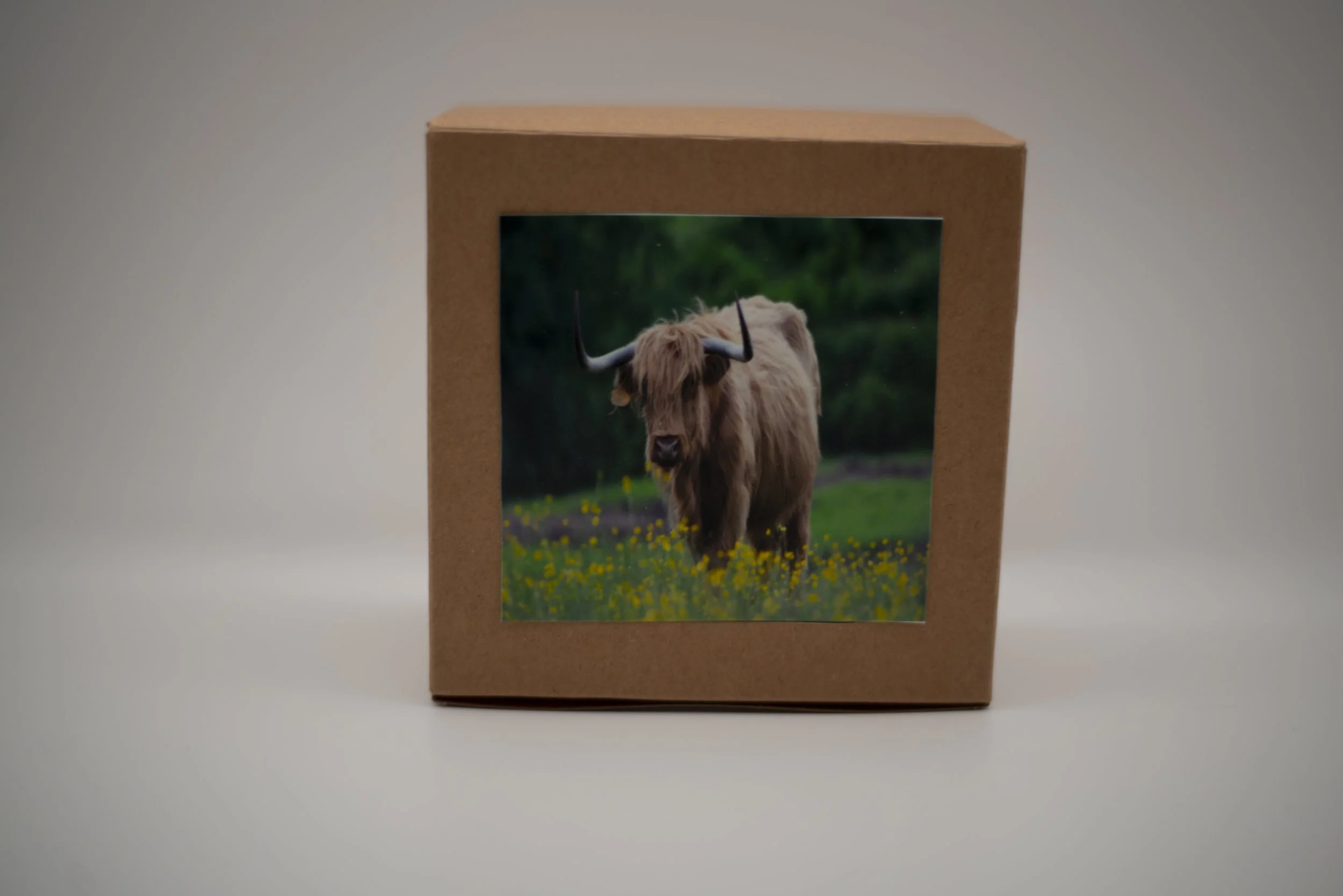 highland cow puzzle.jpg