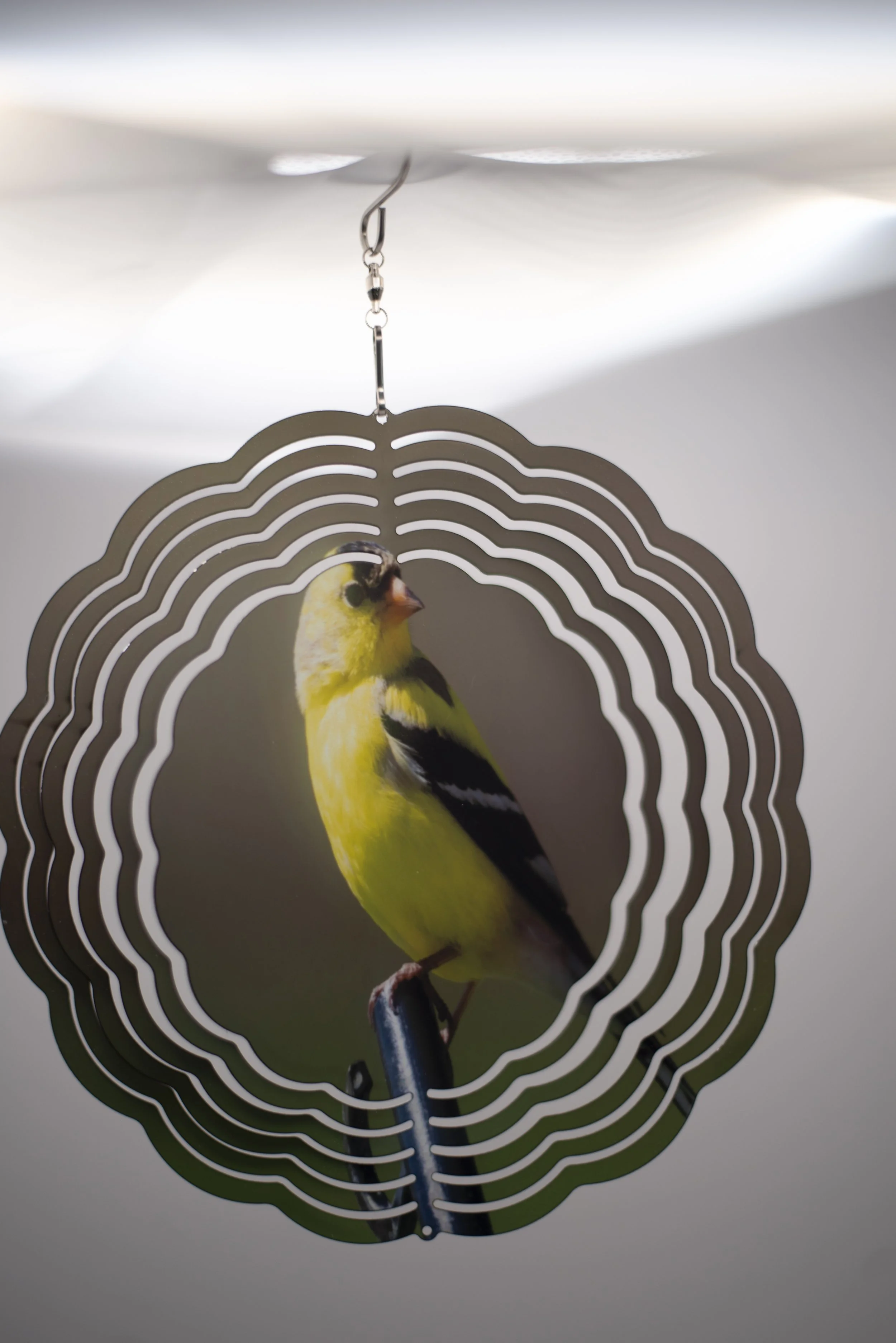 gold finch wind spinner.jpg