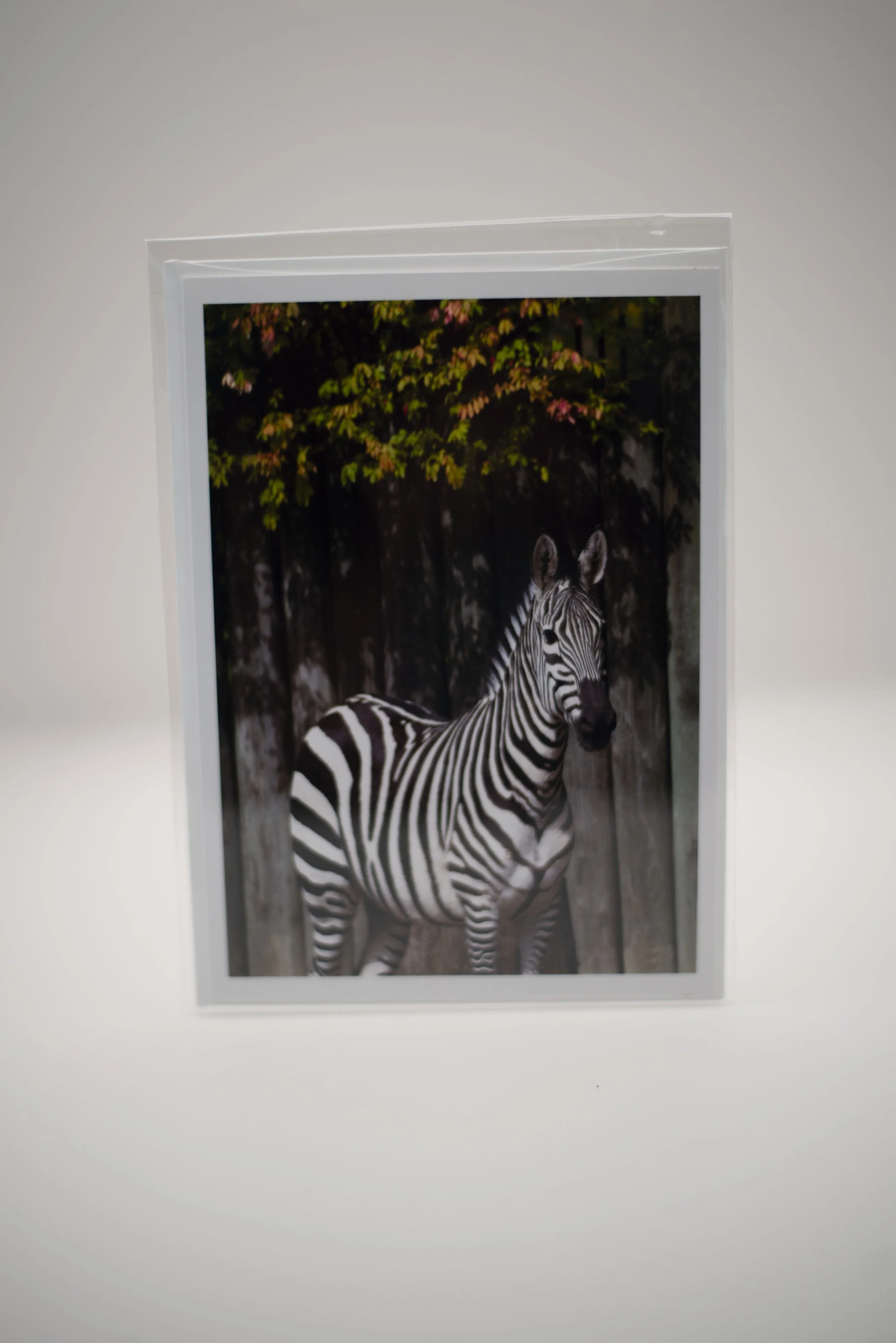 Zebra Notecard