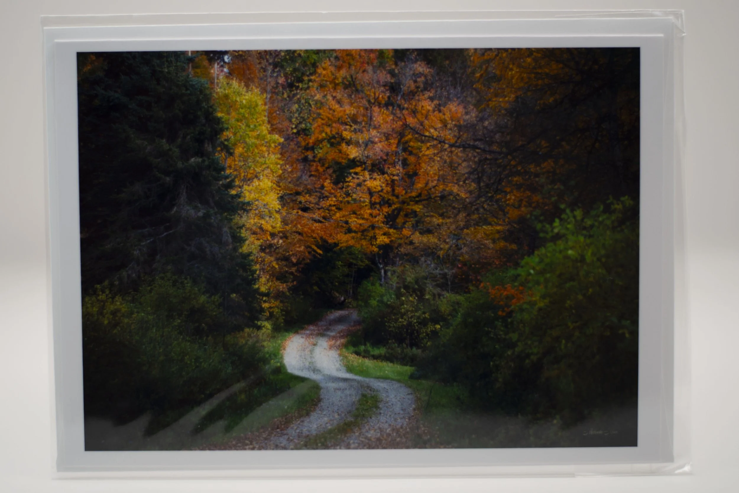 Road into the Unknown Notecard