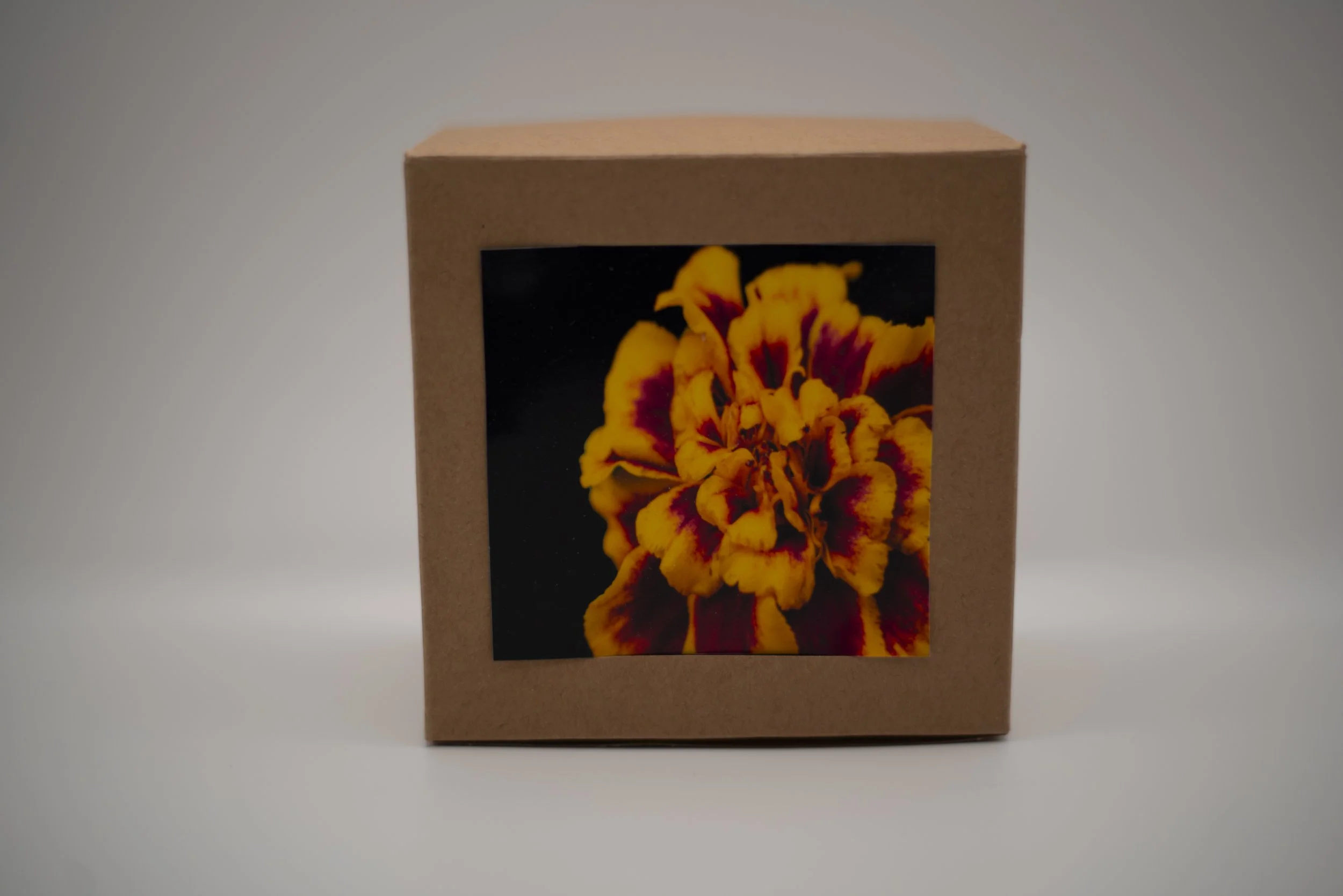 Marigold Puzzle