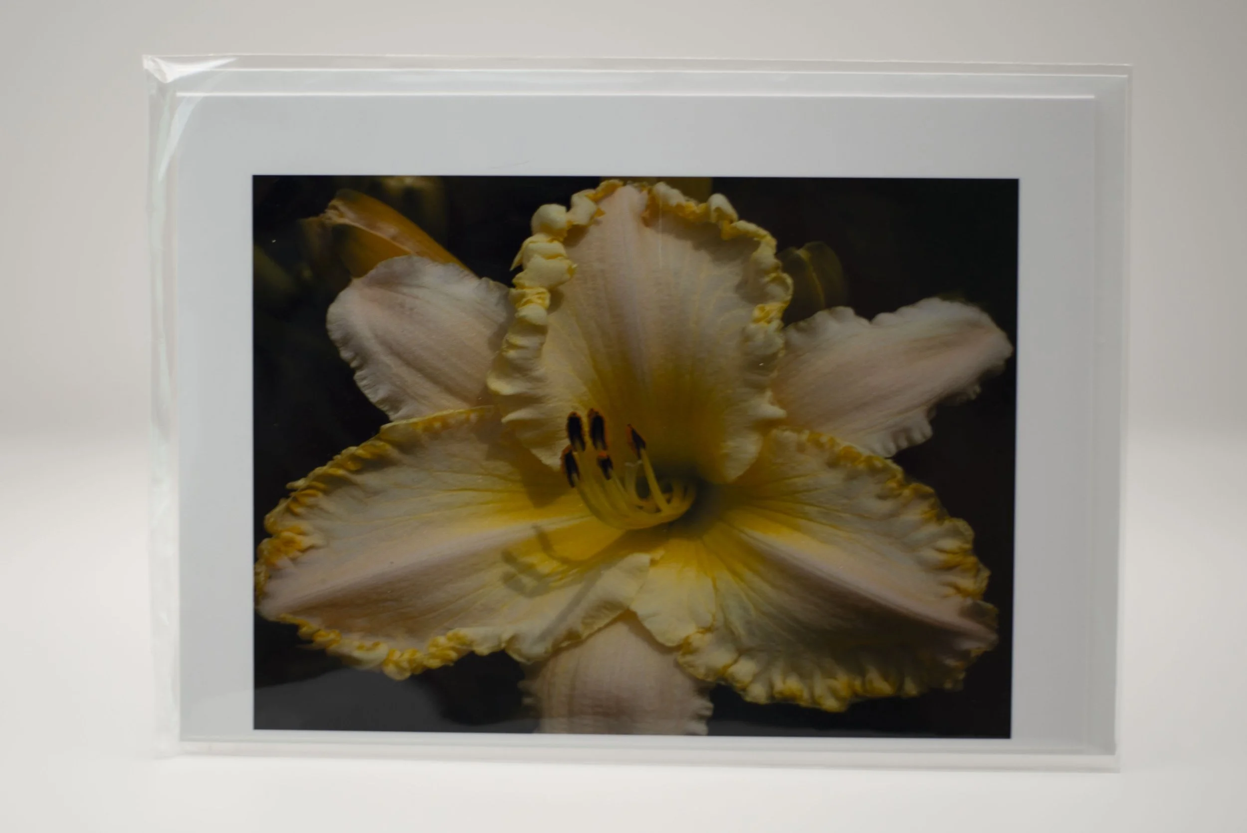 Yellow Lily Notecard