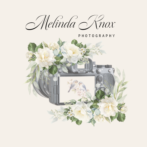 Melinda Knox Photography
