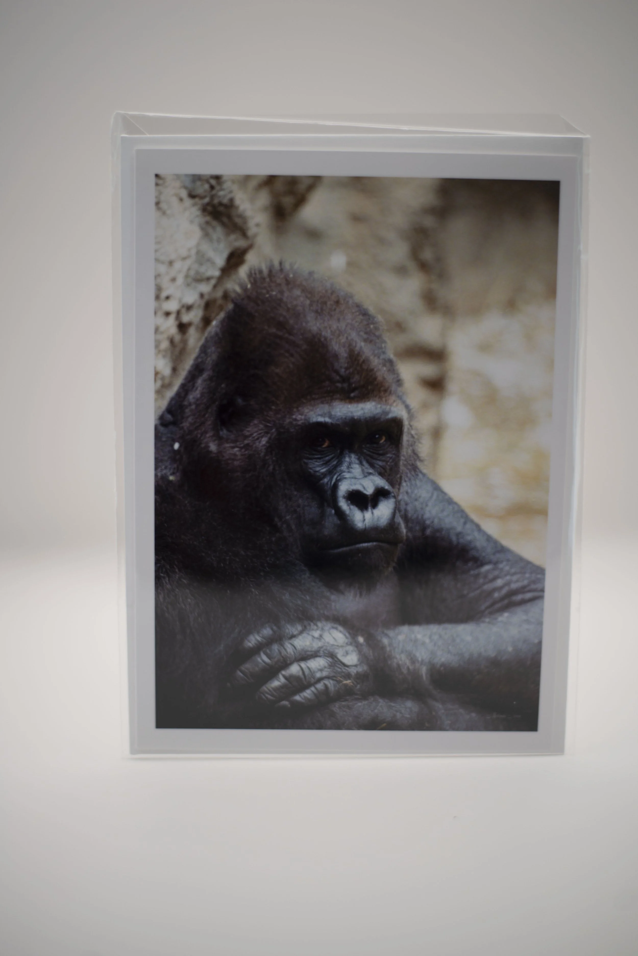 Gorilla Notecard