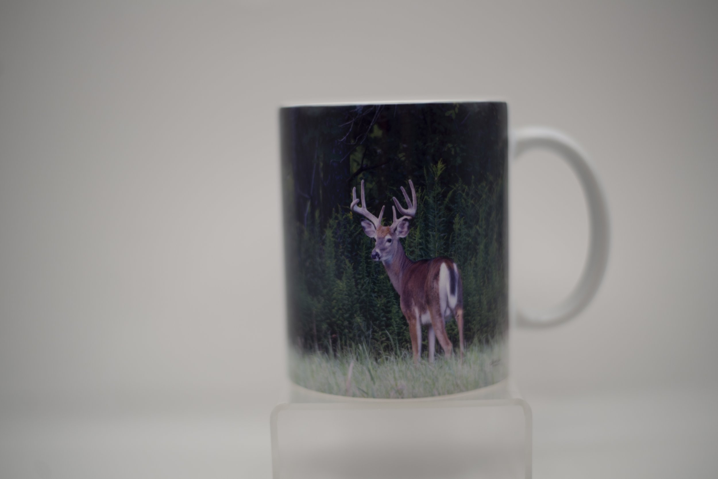 Buck Mug