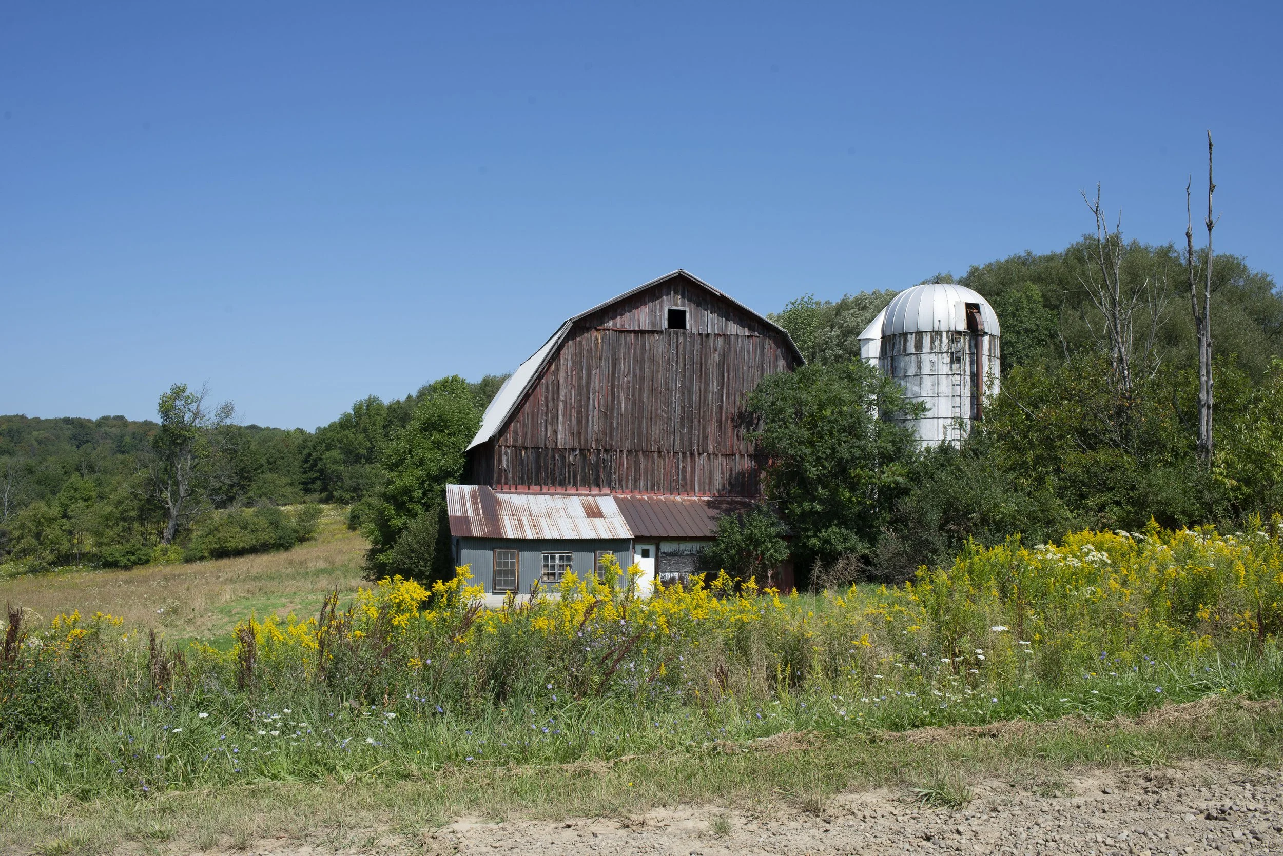 Old Barn with Silo