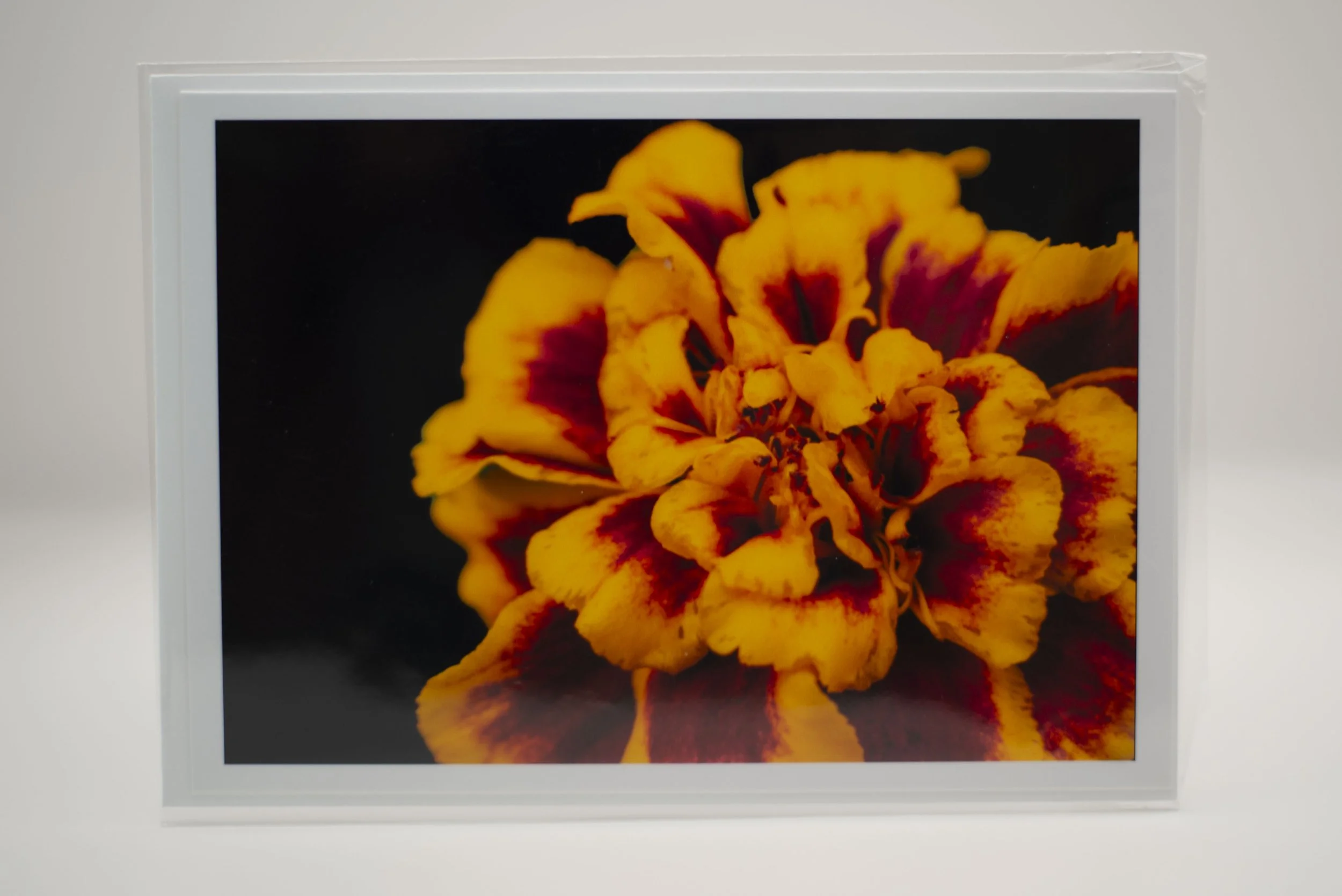 Marigold Notecard