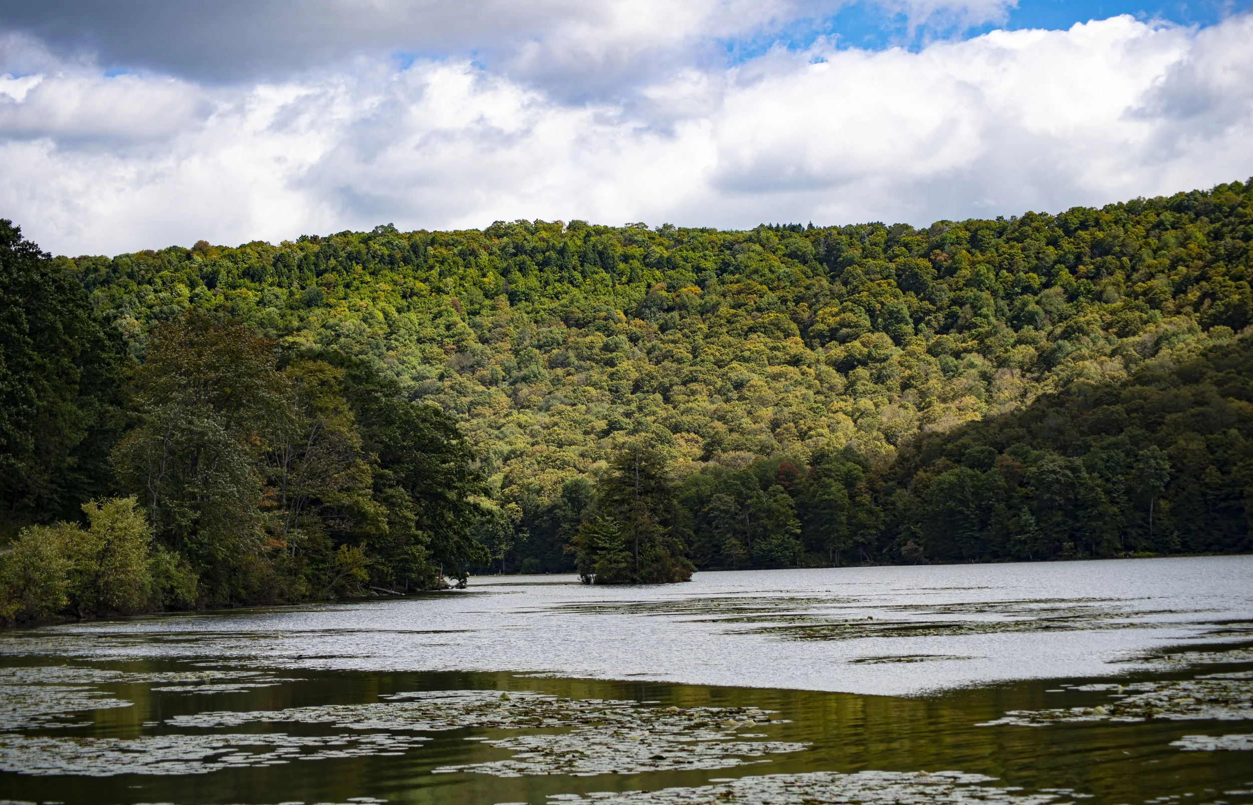 Alma Pond 2022