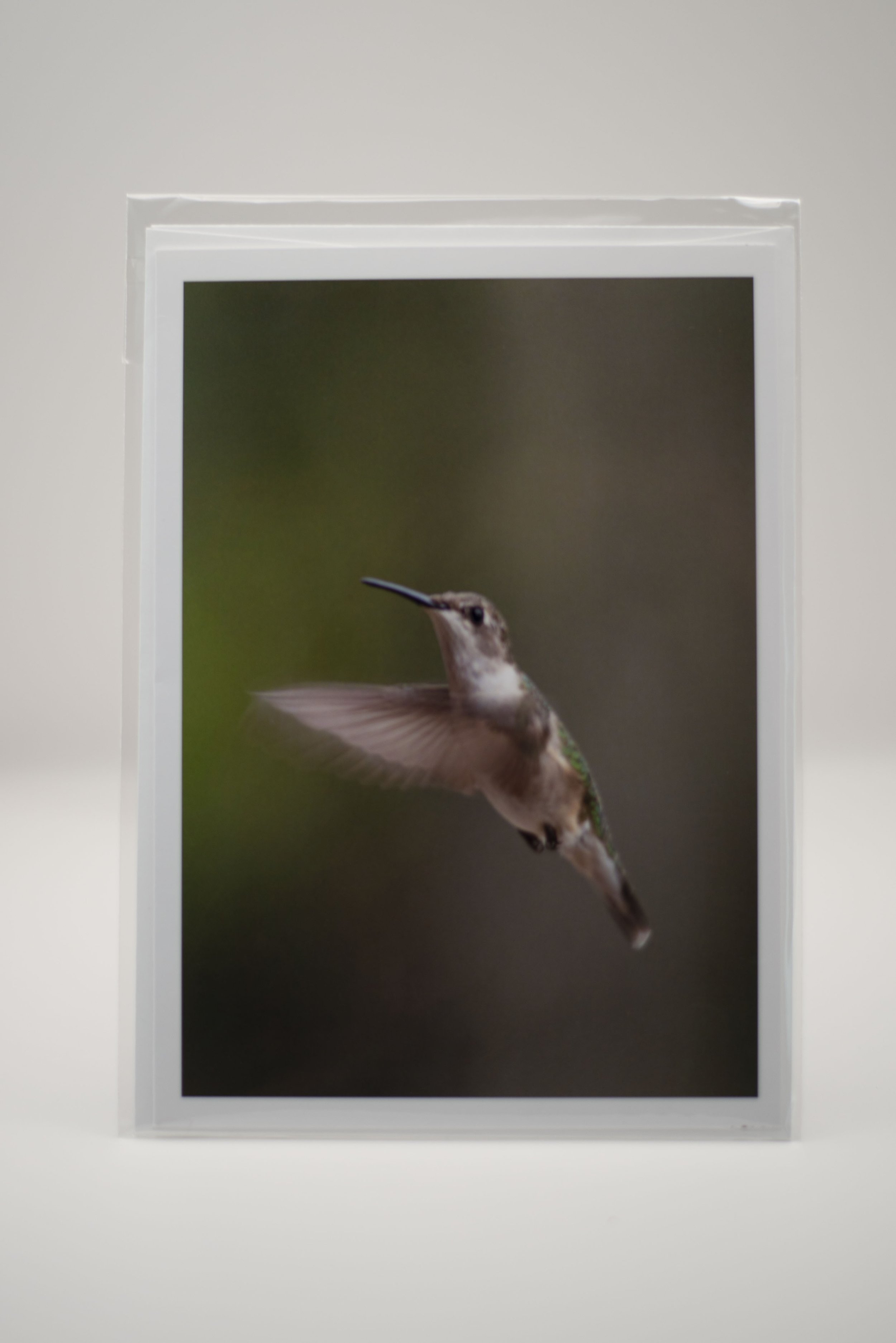 Hummingbird Notecard
