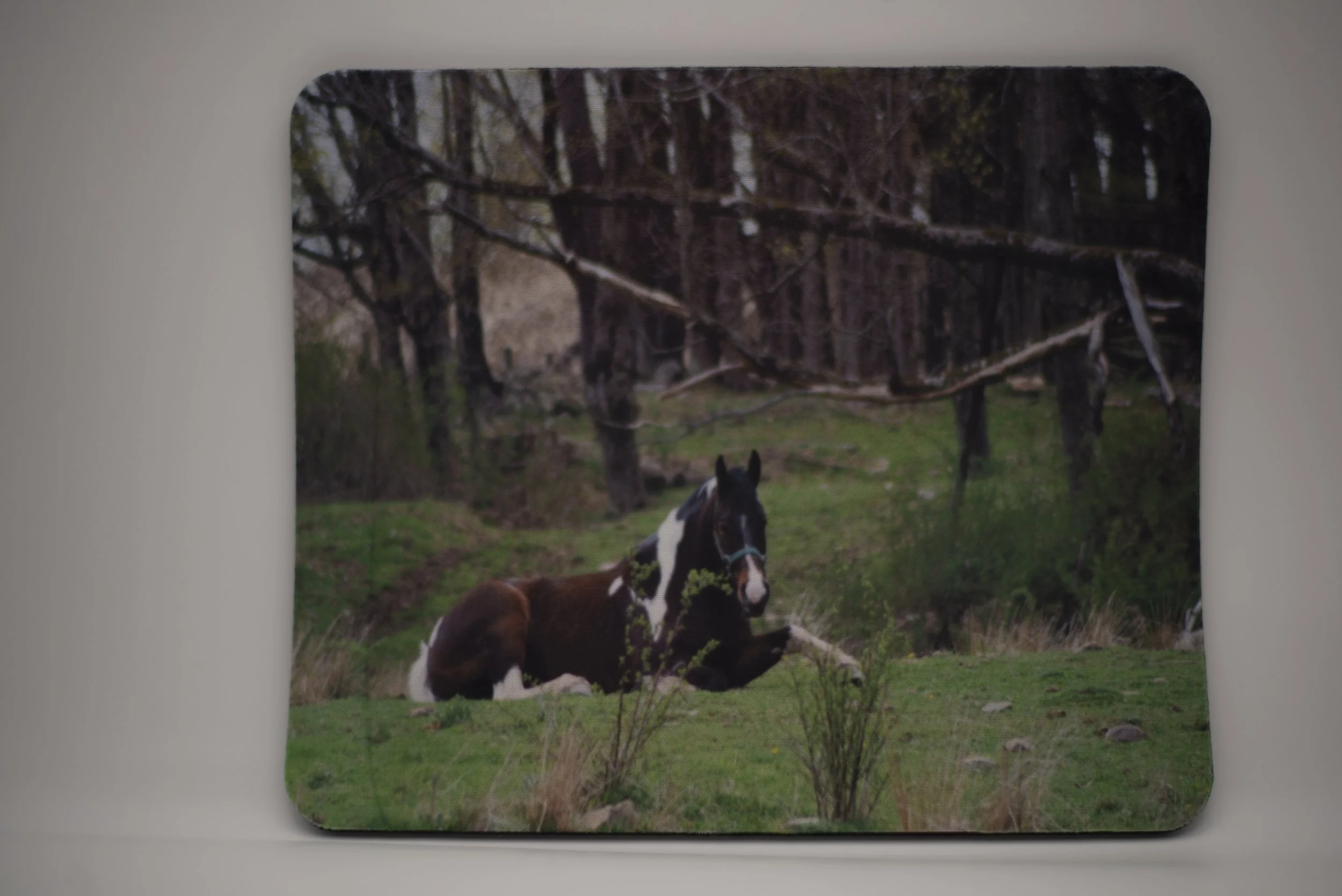 Horse pose mouse pad.jpg